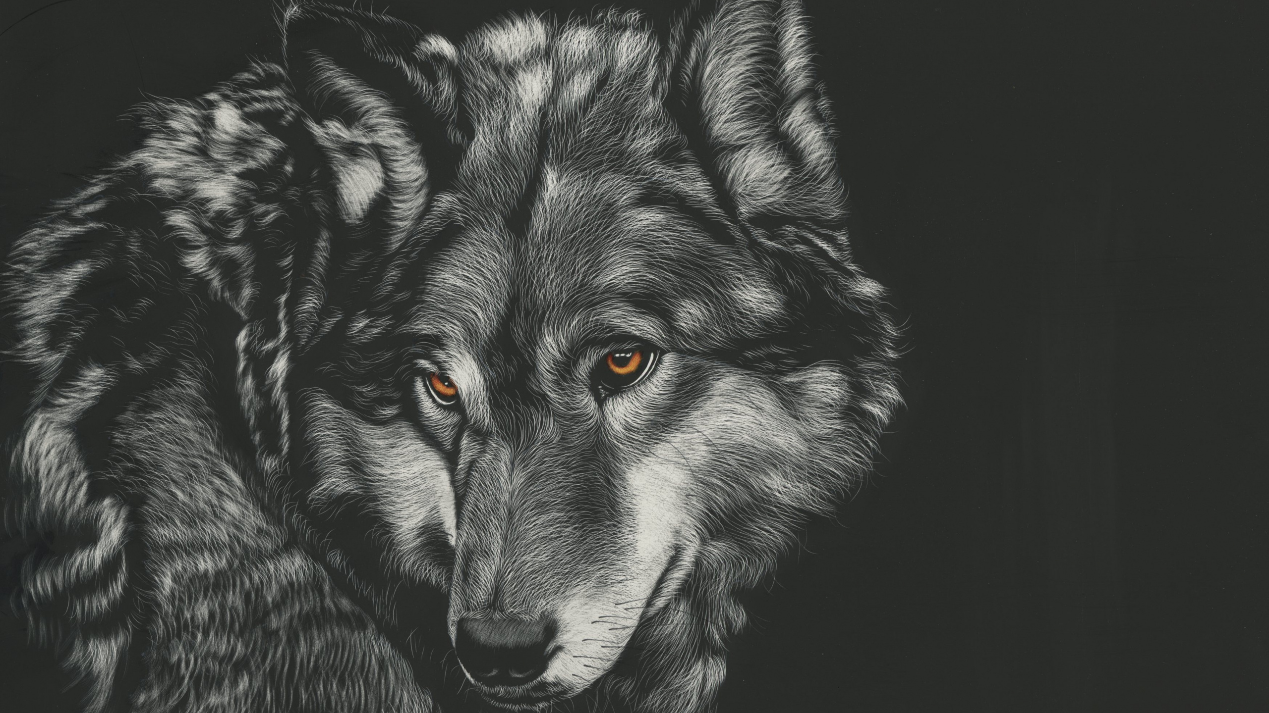 Illustration de Loup Noir et Blanc. Wallpaper in 2560x1440 Resolution