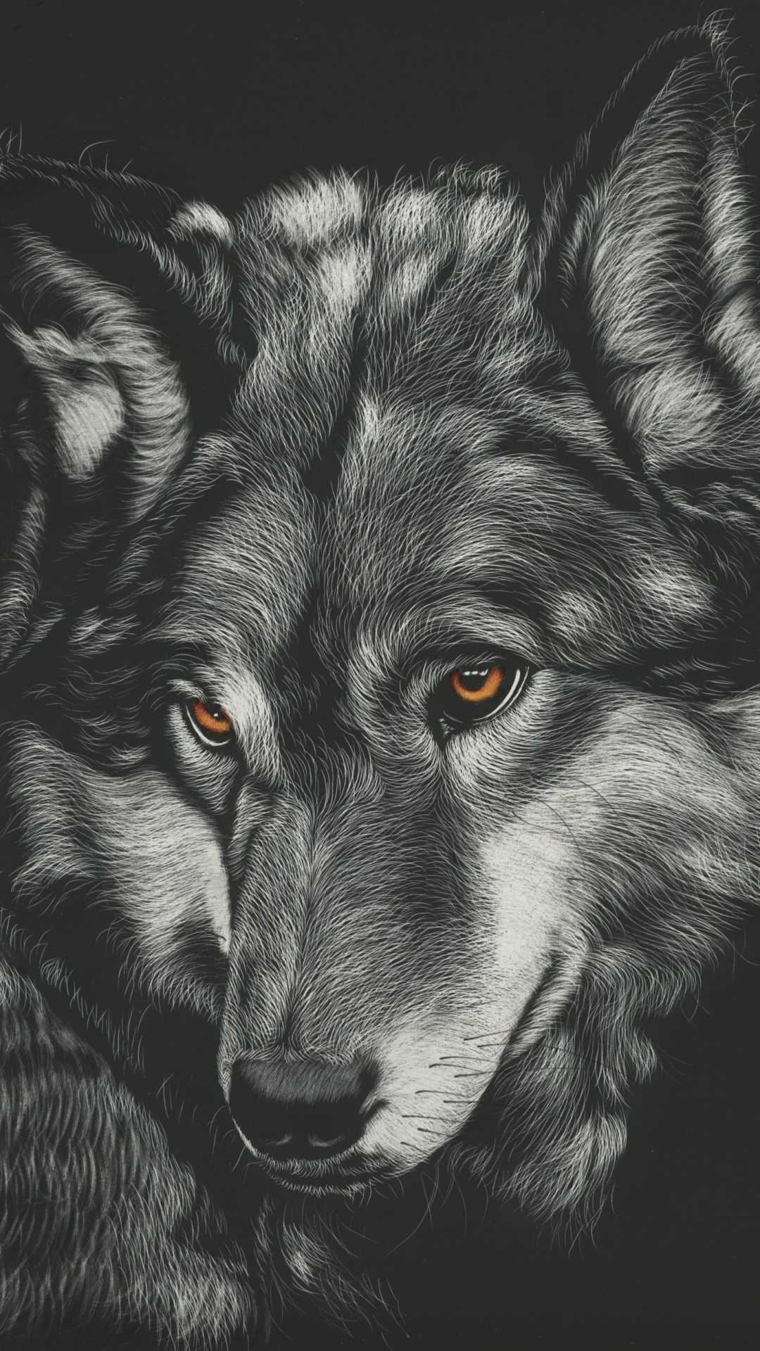 Schwarz-Weiß-Wolf-Abbildung. Wallpaper in 1080x1920 Resolution