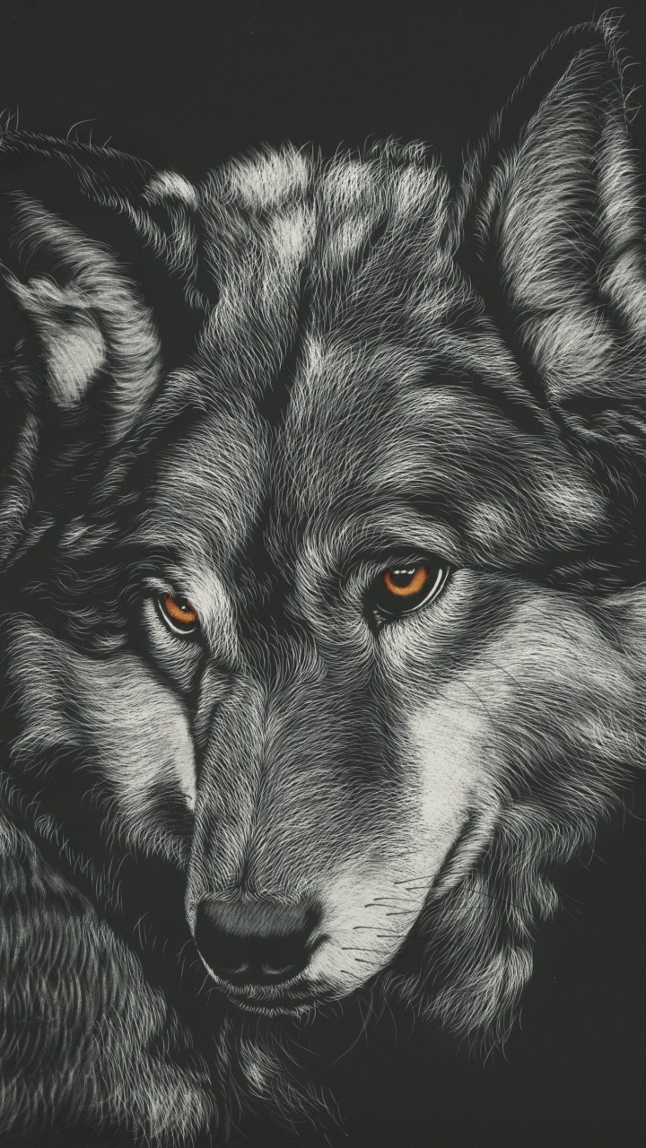 Schwarz-Weiß-Wolf-Abbildung. Wallpaper in 720x1280 Resolution