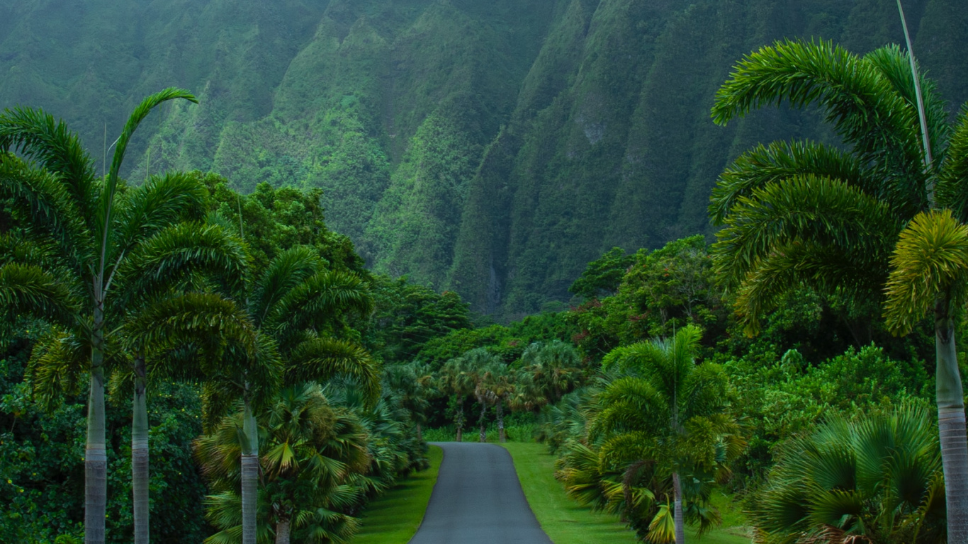 Nature, Hill Station, Vegetation, Highland, Natural Landscape. Wallpaper in 1366x768 Resolution