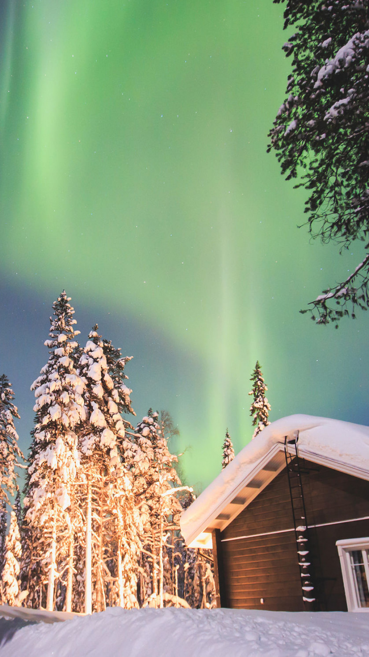 Maison en Bois Marron Près Des Arbres Verts Sous Ciel Bleu Pendant la Nuit. Wallpaper in 750x1334 Resolution