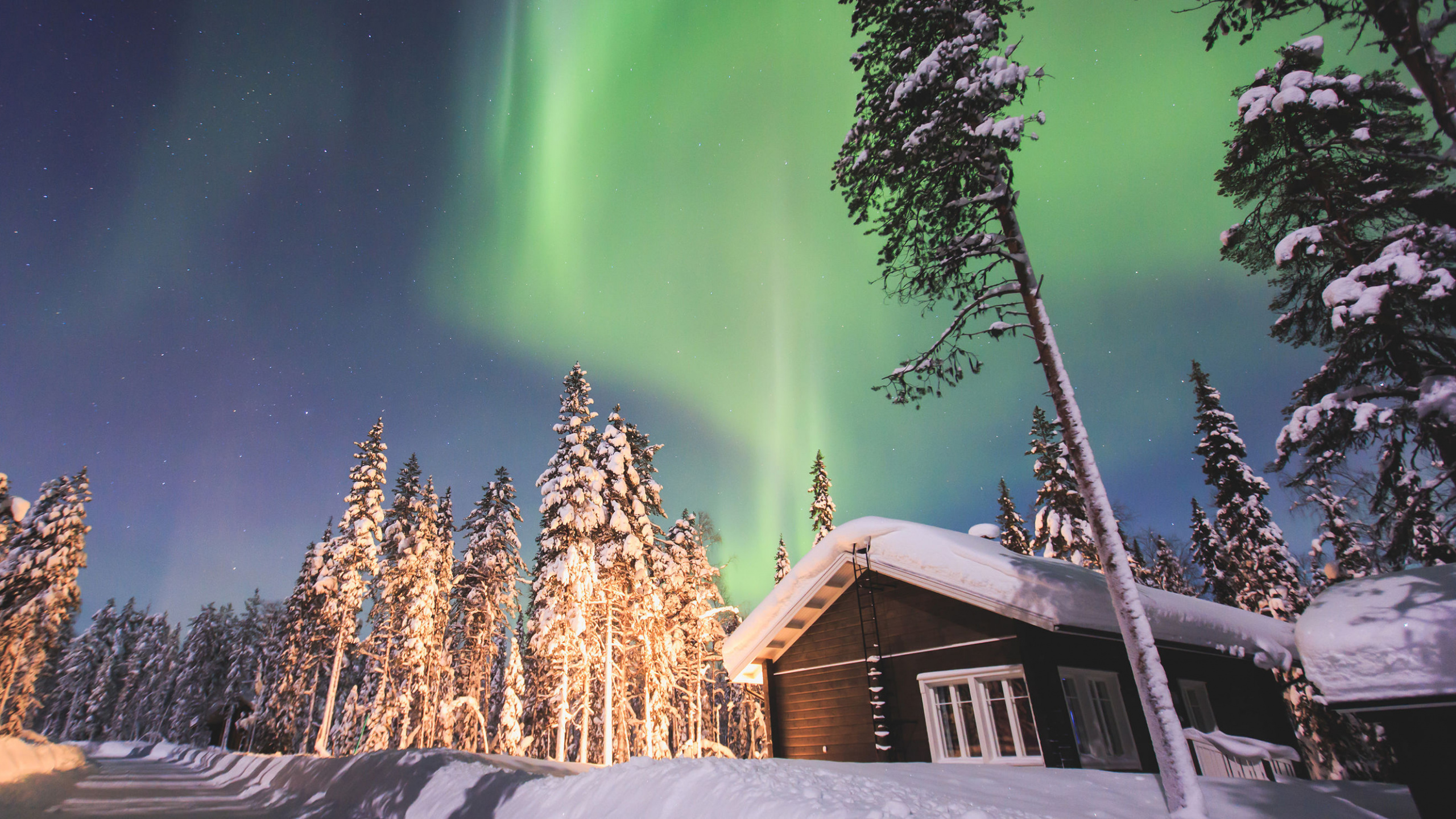 Casa de Madera Marrón Cerca de Árboles Verdes Bajo un Cielo Azul Durante la Noche. Wallpaper in 2560x1440 Resolution