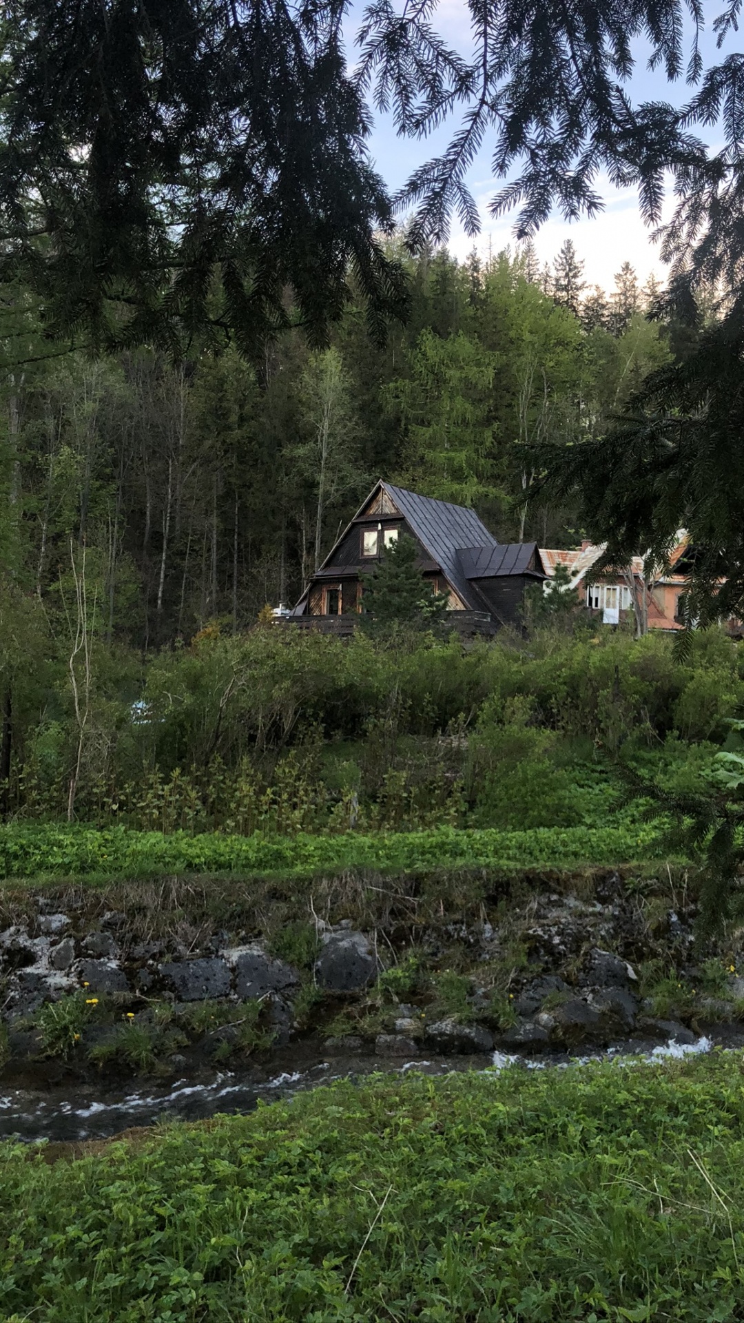 Vegetation, Biome, Plant, Land Lot, House. Wallpaper in 1080x1920 Resolution