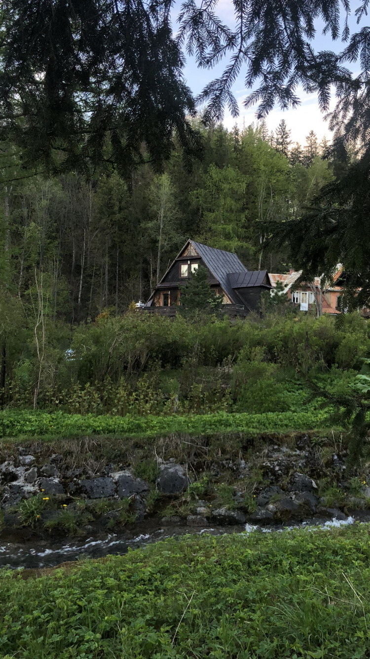 Vegetation, Biome, Plant, Land Lot, House. Wallpaper in 750x1334 Resolution