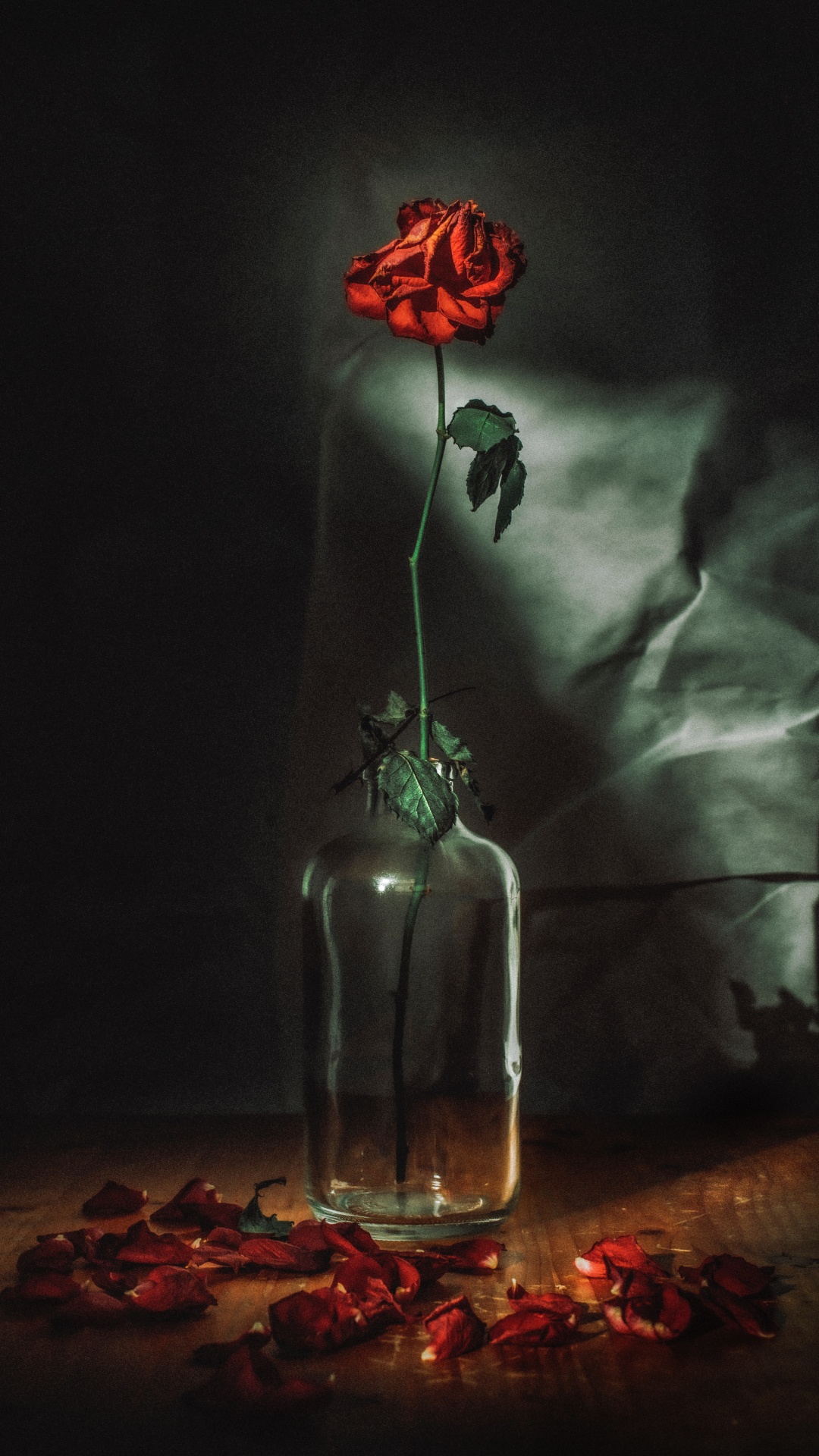 Rote Rosen in Klarglasflasche. Wallpaper in 1080x1920 Resolution