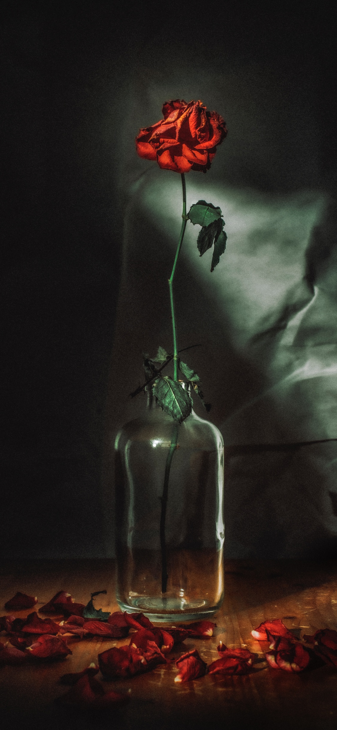Rosas Rojas en Botella de Vidrio Transparente. Wallpaper in 1125x2436 Resolution