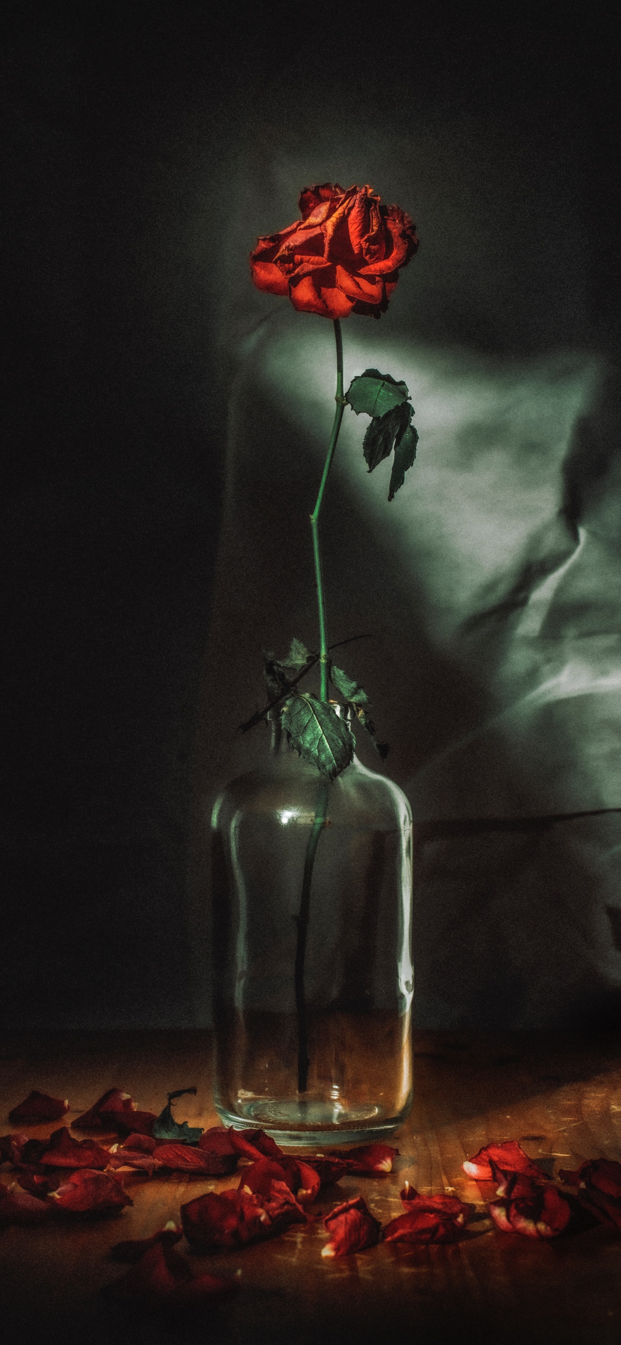 Rosas Rojas en Botella de Vidrio Transparente. Wallpaper in 1242x2688 Resolution