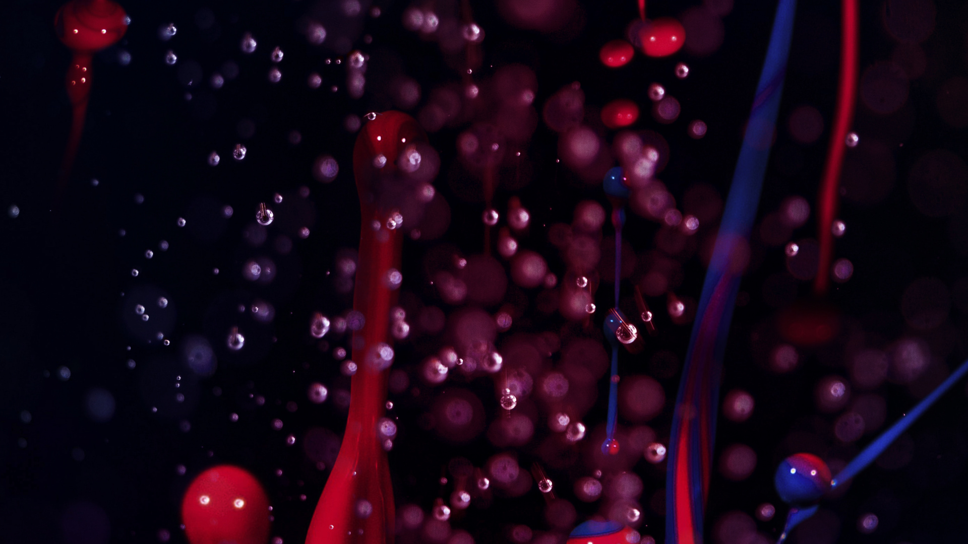Darkness, Liquid, Purple, Water, Branch. Wallpaper in 1920x1080 Resolution