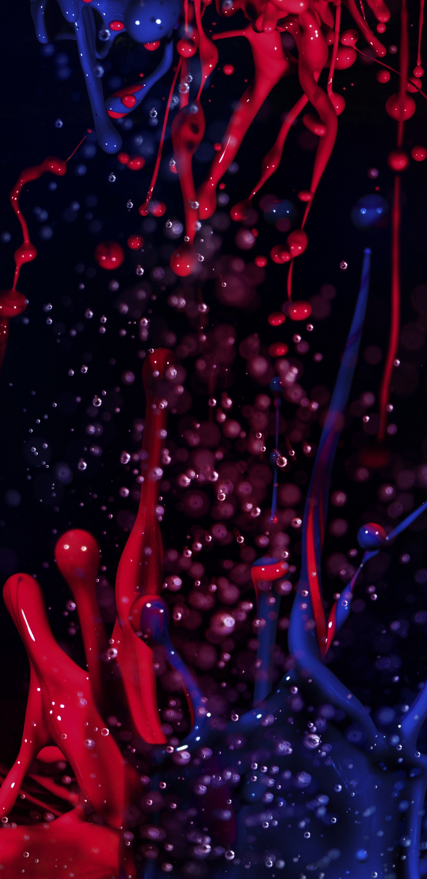 Purpur, Wasser, Branch, Pink, Veilchen. Wallpaper in 1440x2960 Resolution