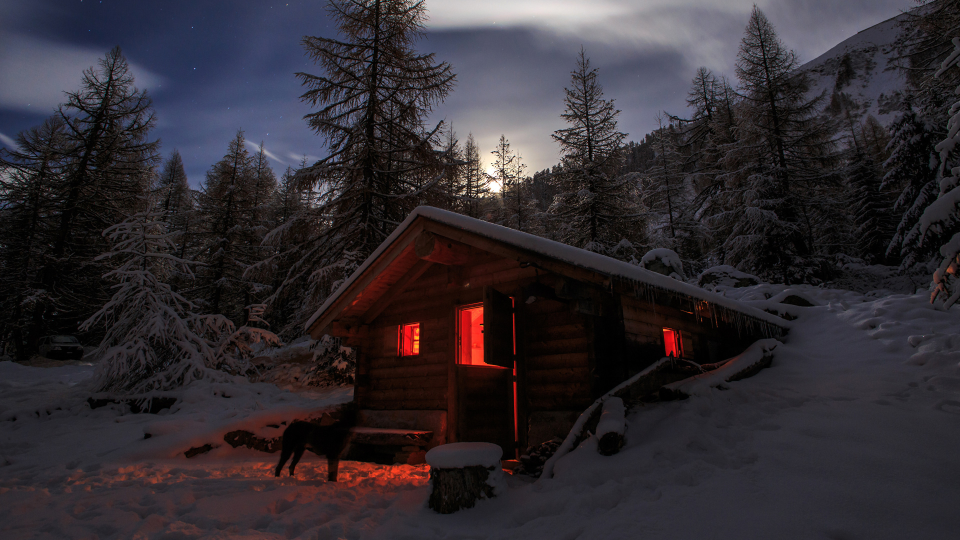 Maison en Bois Brune Près Des Arbres Pendant la Nuit. Wallpaper in 1920x1080 Resolution