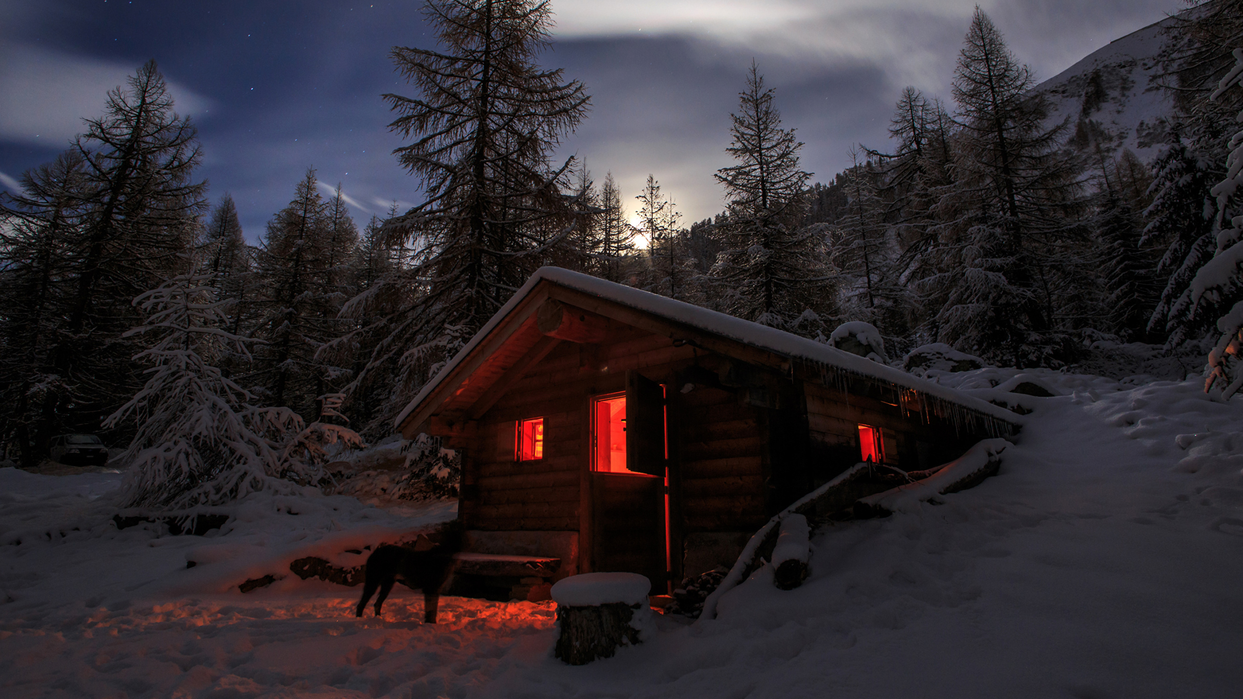 Casa de Madera Marrón Cerca de Los Árboles Durante la Noche. Wallpaper in 2560x1440 Resolution