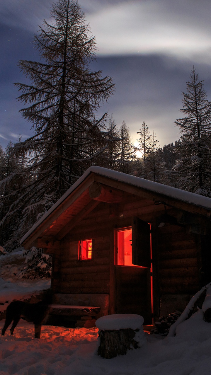 Casa de Madera Marrón Cerca de Los Árboles Durante la Noche. Wallpaper in 720x1280 Resolution
