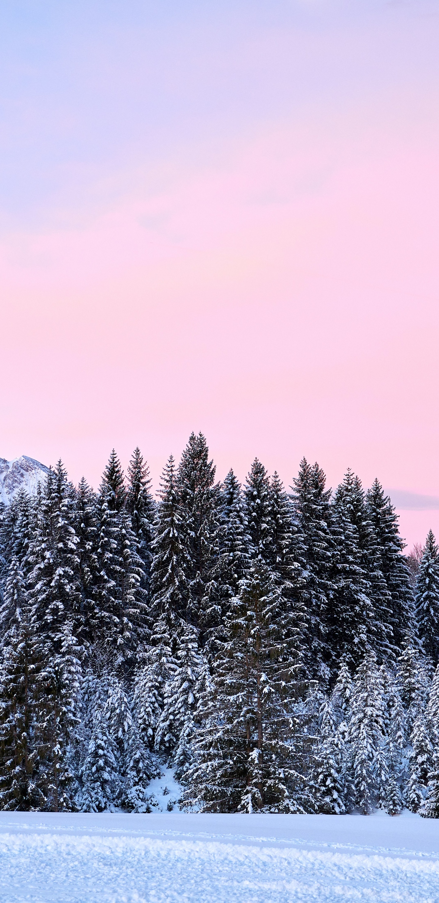 Nieve, Alemania, Invierno, de Colores, Ambiente. Wallpaper in 1440x2960 Resolution