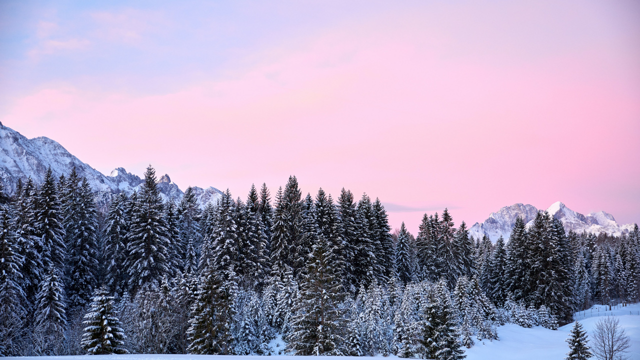 Schnee, Wald, Deutschland, Winter, Cloud. Wallpaper in 1280x720 Resolution