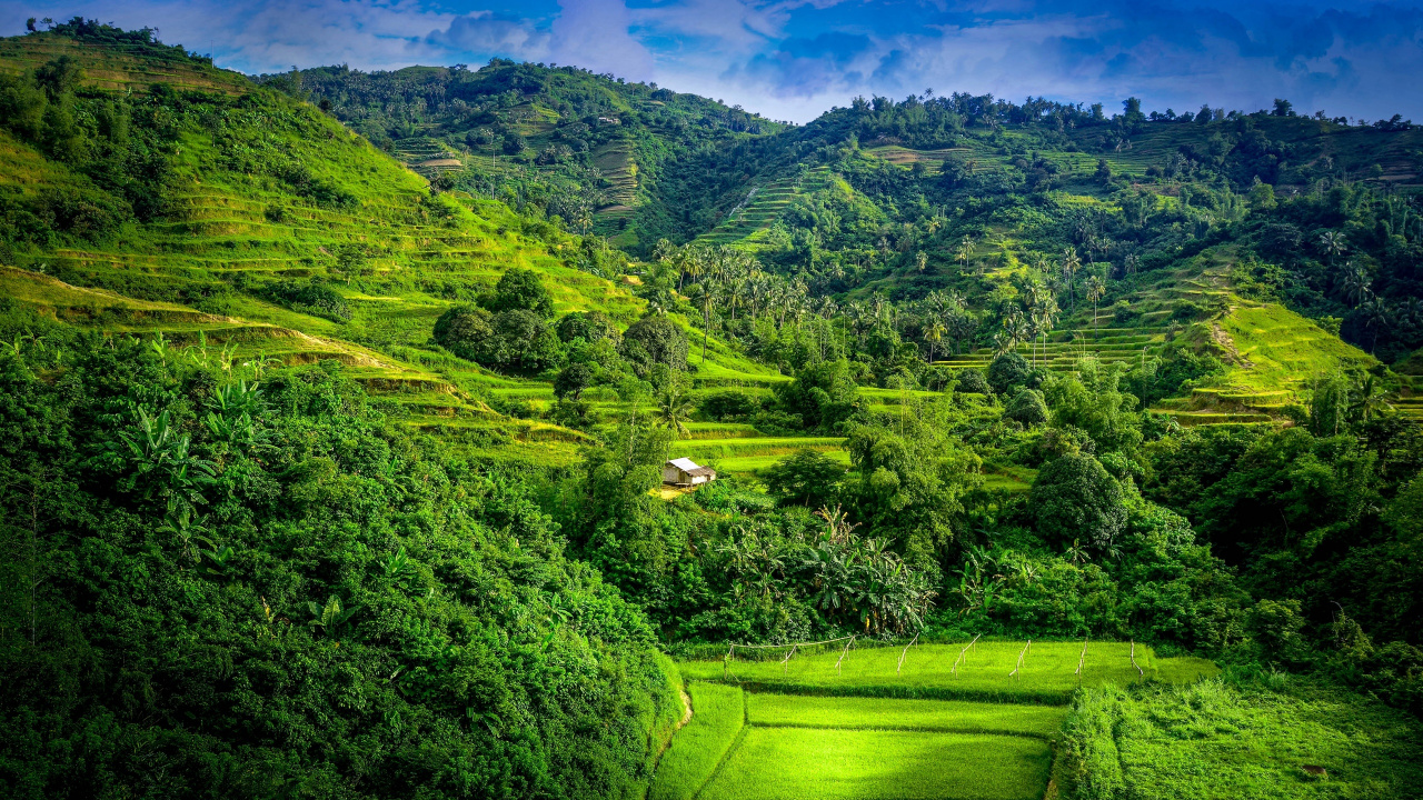 Green Grass Field and Green Mountains During Daytime. Wallpaper in 1280x720 Resolution