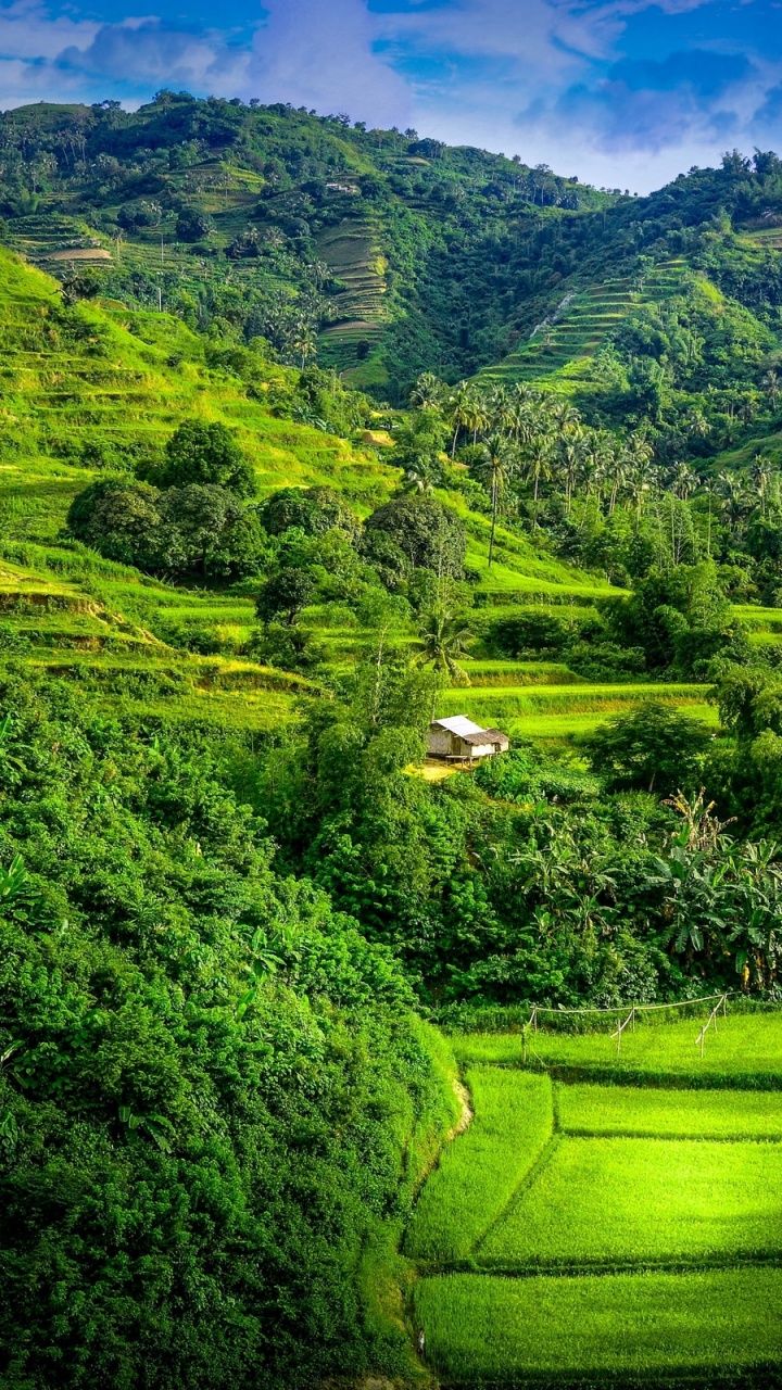 Green Grass Field and Green Mountains During Daytime. Wallpaper in 720x1280 Resolution