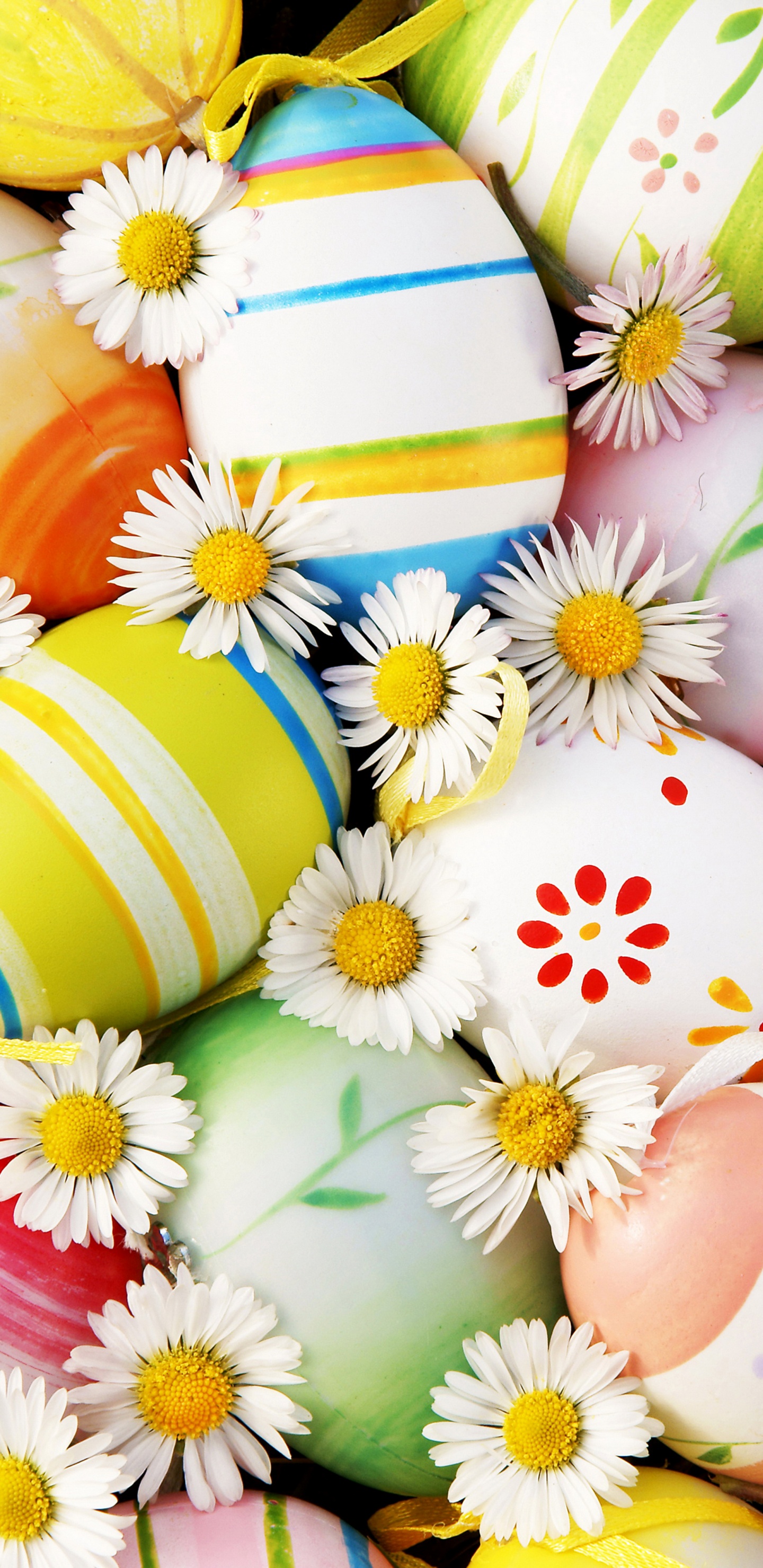 Easter Bunny, Easter Egg, Holiday, Easter, Egg. Wallpaper in 1440x2960 Resolution