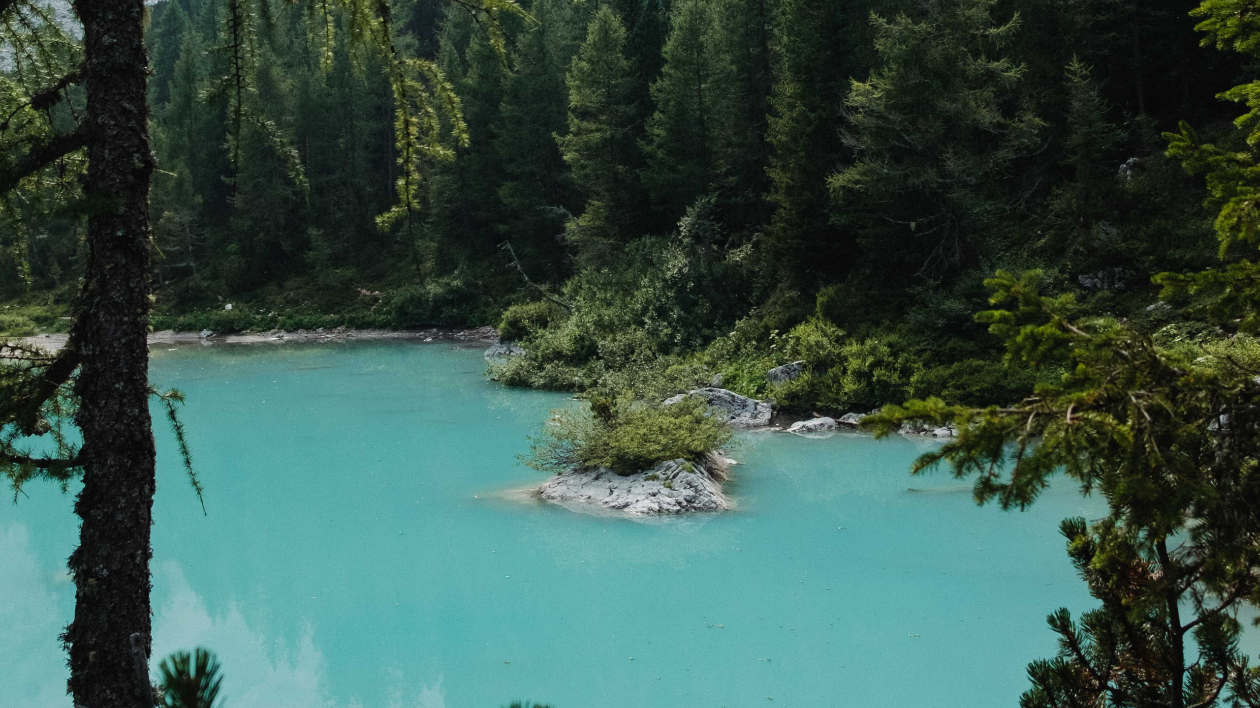 Body of Water, Lake, Spruce Fir Forests, Old Growth Forest, Natural Environment. Wallpaper in 2560x1440 Resolution