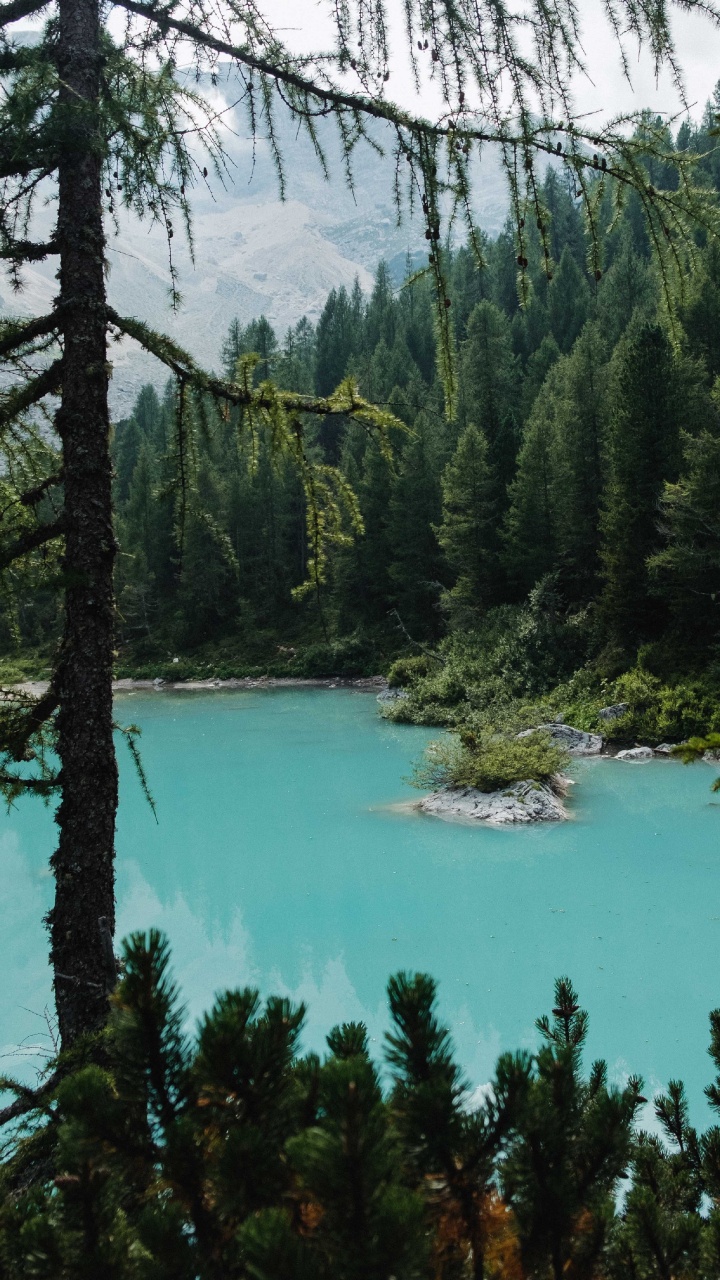Body of Water, Lake, Spruce Fir Forests, Old Growth Forest, Natural Environment. Wallpaper in 720x1280 Resolution
