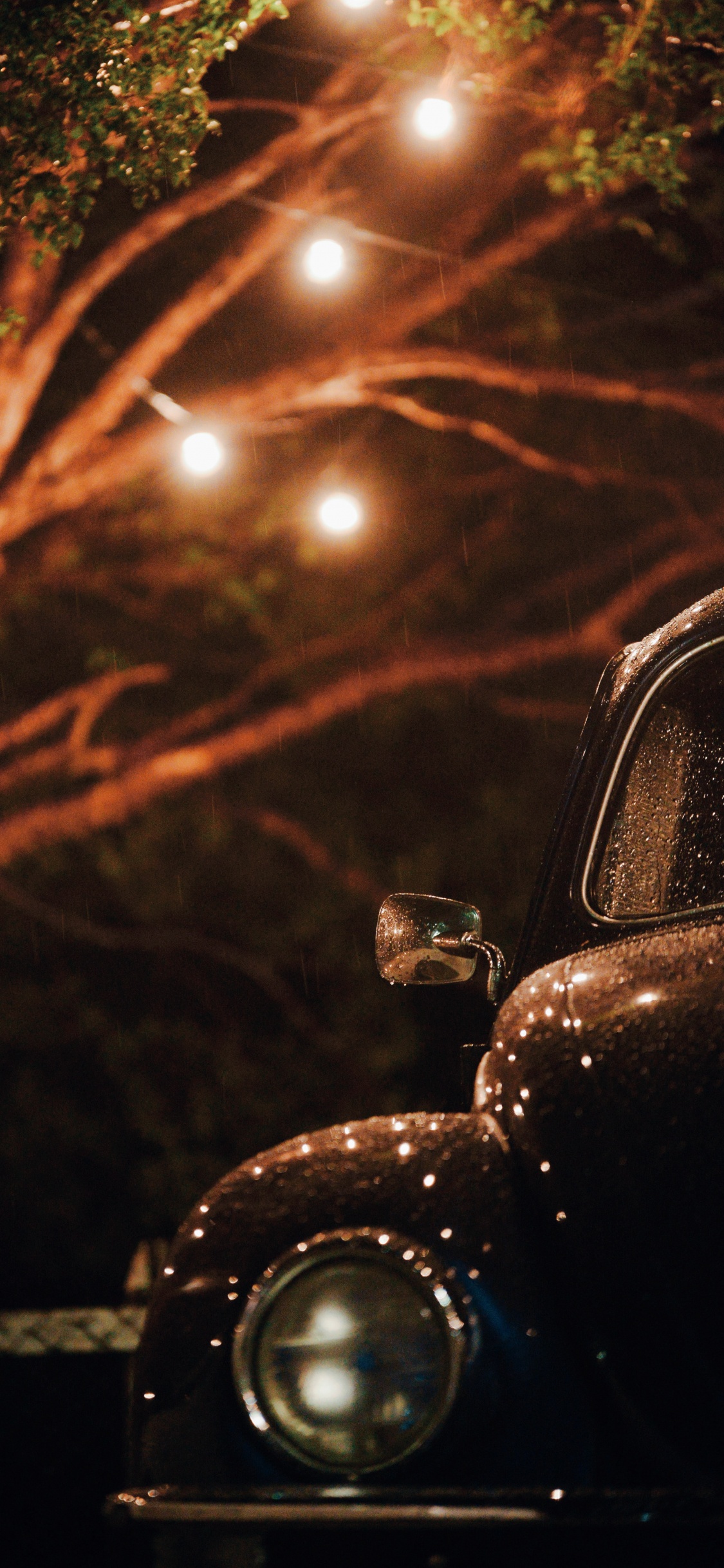 Coche Escarabajo Negro en Medio de la Carretera Durante la Noche. Wallpaper in 1125x2436 Resolution