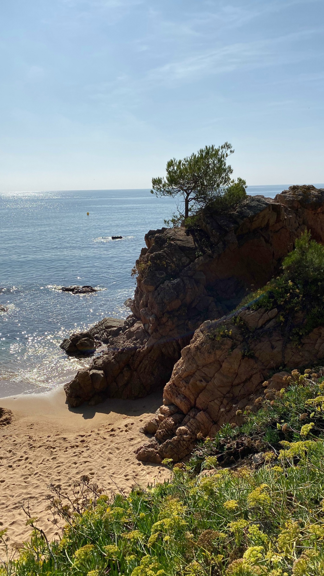 Coast, Sea, Promontory, Headland, Vegetation. Wallpaper in 1080x1920 Resolution