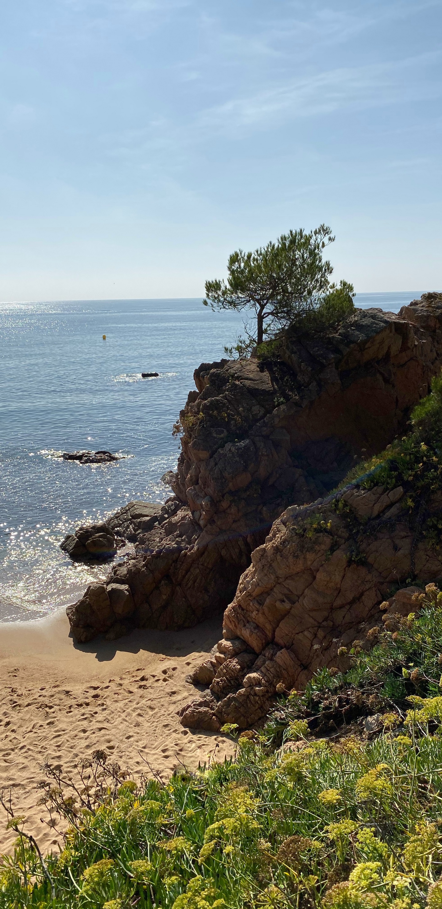 Coast, Sea, Promontory, Headland, Vegetation. Wallpaper in 1440x2960 Resolution