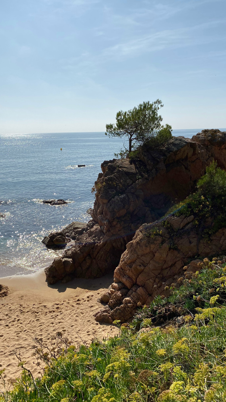 Côte, Mer, Promontoire, Végétation, Plante de la Communauté. Wallpaper in 750x1334 Resolution