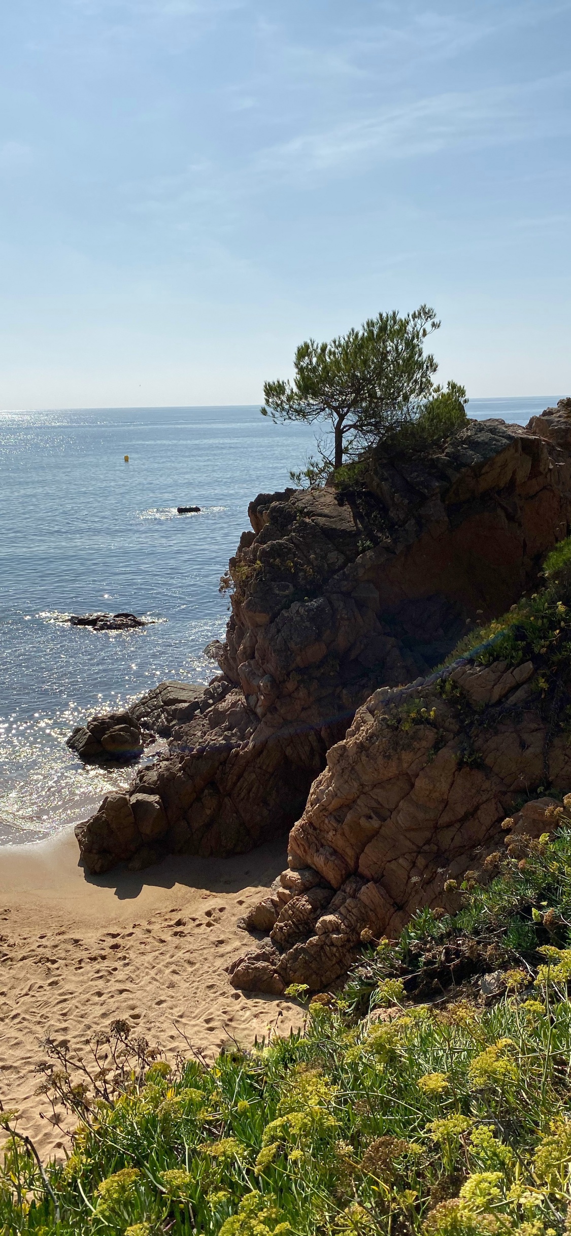 Küste, Meer, Landzunge, Vegetation, Pflanzen-Gemeinschaft. Wallpaper in 1125x2436 Resolution