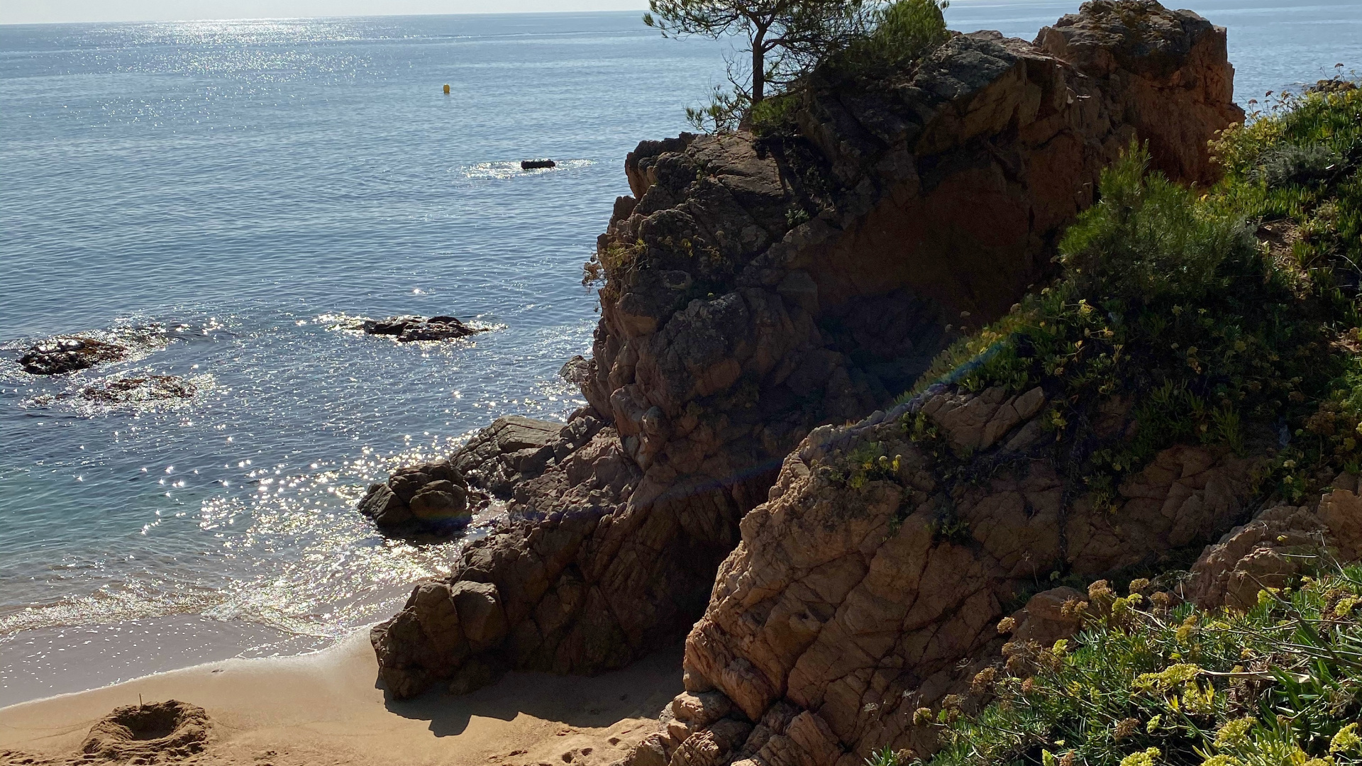 Küste, Meer, Landzunge, Vegetation, Pflanzen-Gemeinschaft. Wallpaper in 1920x1080 Resolution