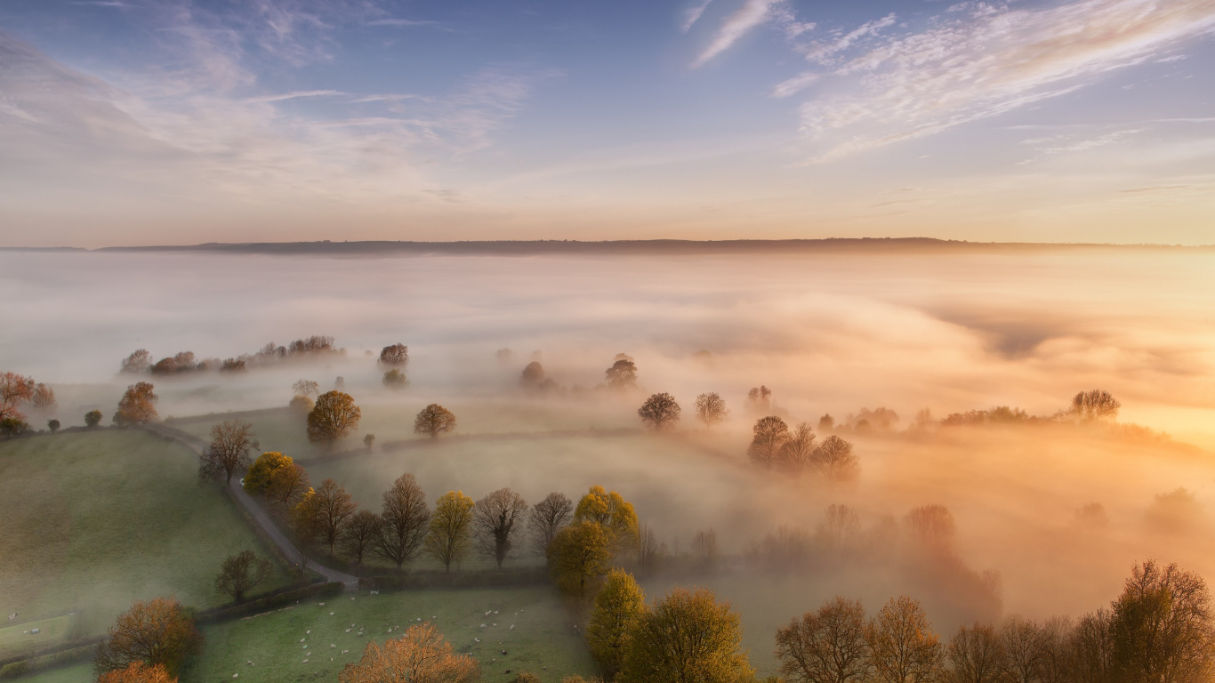 Natur, Naturlandschaft, Morgen, Nebel, Ruhe. Wallpaper in 1366x768 Resolution