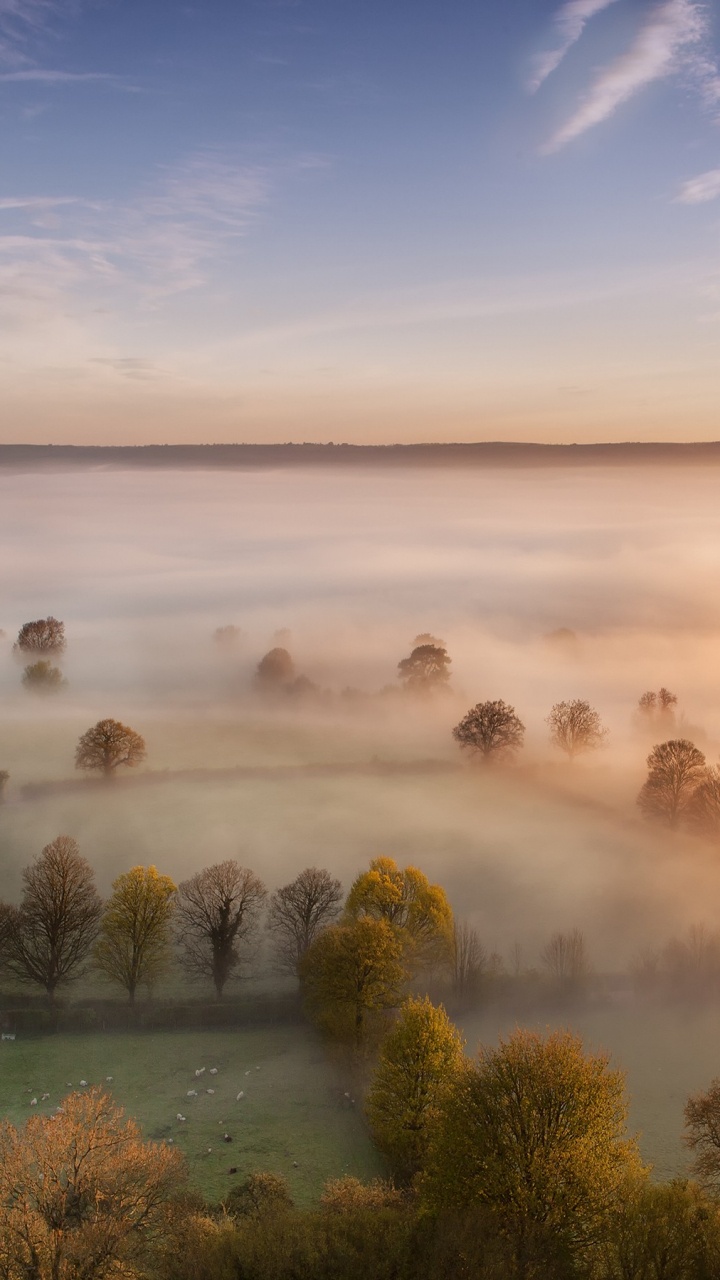Natur, Naturlandschaft, Morgen, Nebel, Ruhe. Wallpaper in 720x1280 Resolution
