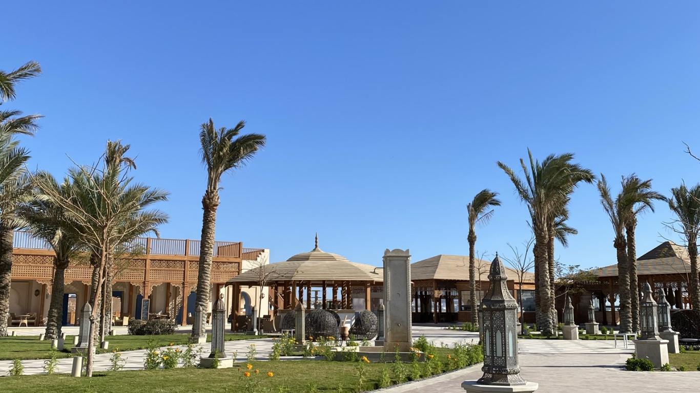 Palm Trees, Plant, Building, Azure, Tree. Wallpaper in 1366x768 Resolution