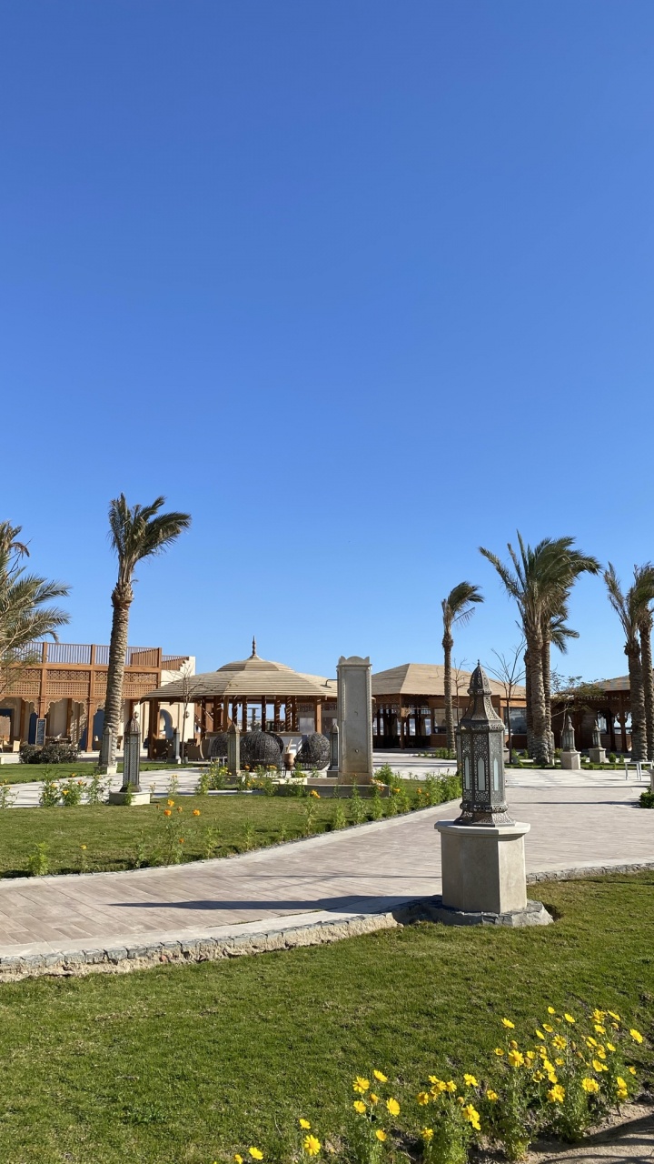 棕榈树, Azure, 的房子, 木本植物, 城市设计 壁纸 720x1280 允许