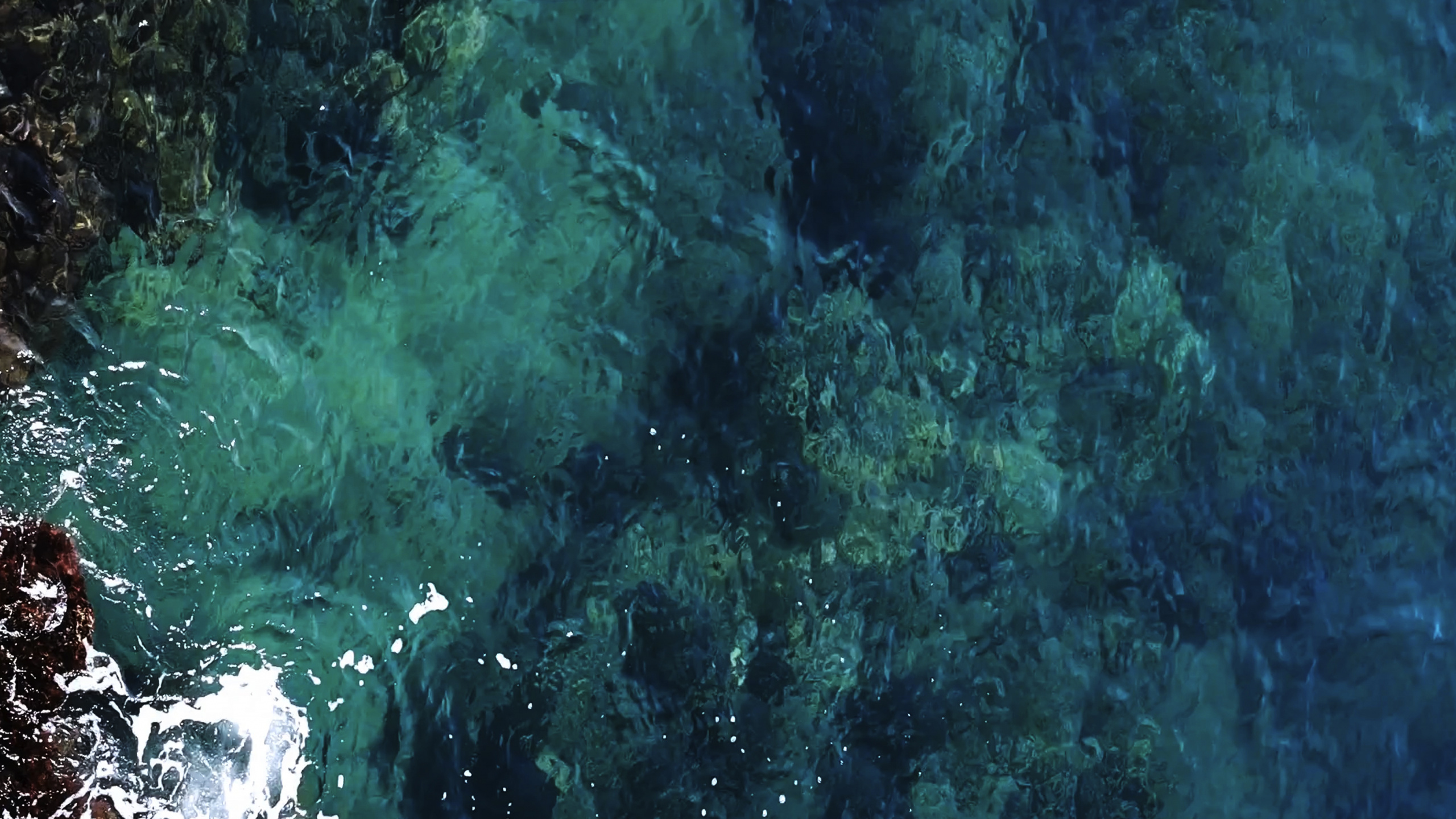 Agua, Entorno Submarino, Mar, Biología Marina, Azure. Wallpaper in 2560x1440 Resolution