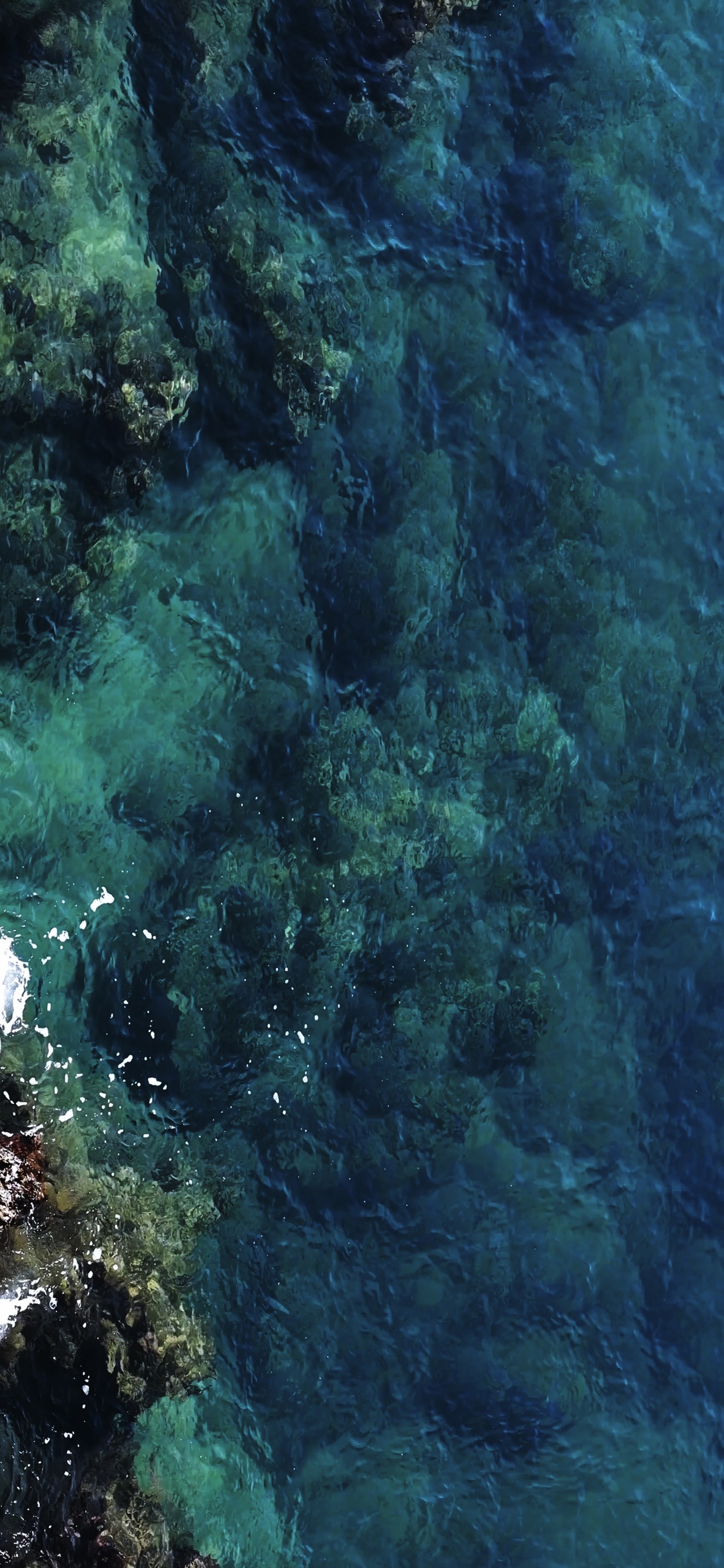 Eau, Environnement Sous-marin, Mer, Biologie Marine, Azure. Wallpaper in 1242x2688 Resolution