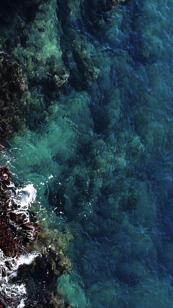 Eau, Environnement Sous-marin, Mer, Biologie Marine, Azure. Wallpaper in 720x1280 Resolution