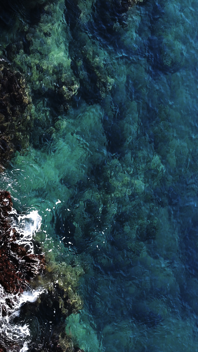 Eau, Environnement Sous-marin, Mer, Biologie Marine, Azure. Wallpaper in 750x1334 Resolution