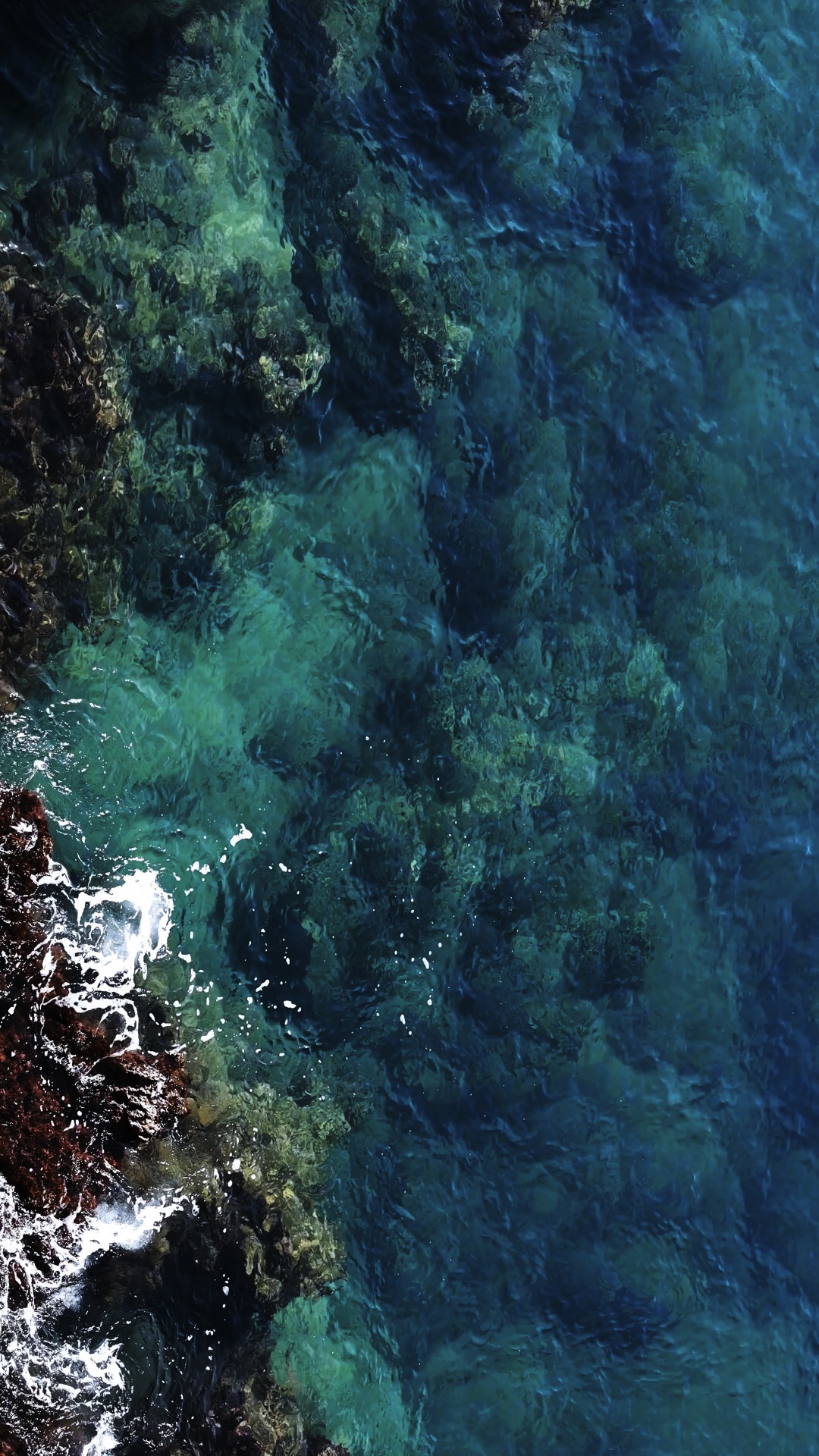 Wasser, Meer, Marine Biologie, Azure, Unterwasser. Wallpaper in 1080x1920 Resolution