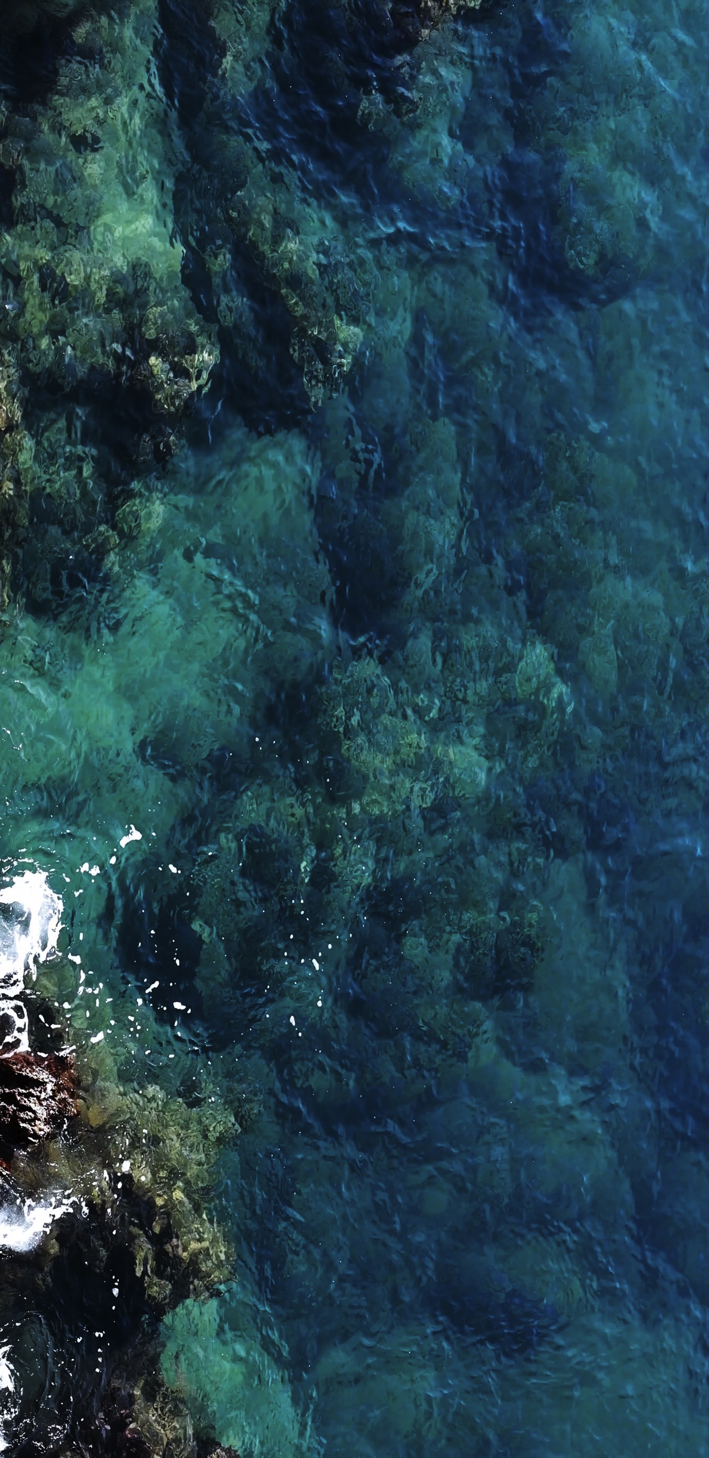 Wasser, Meer, Marine Biologie, Azure, Unterwasser. Wallpaper in 1440x2960 Resolution