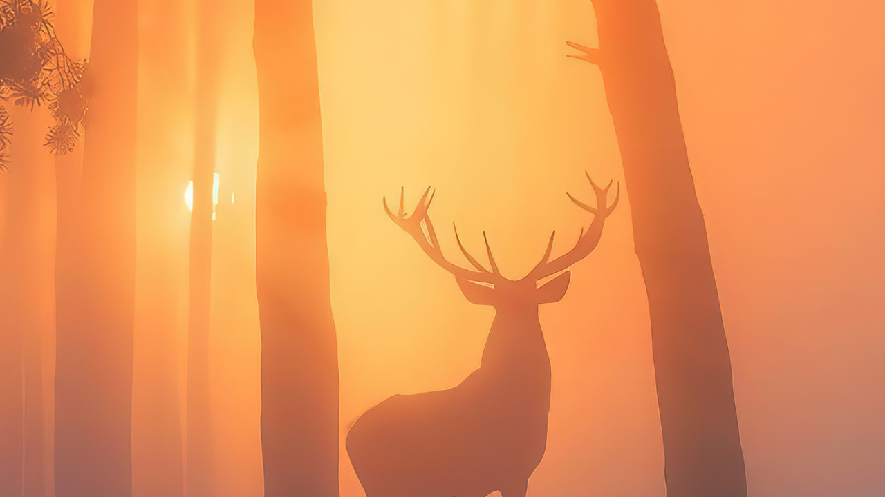 Sonnenaufgang, Atmosphäre, Schnee, Licht, Naturlandschaft. Wallpaper in 1280x720 Resolution