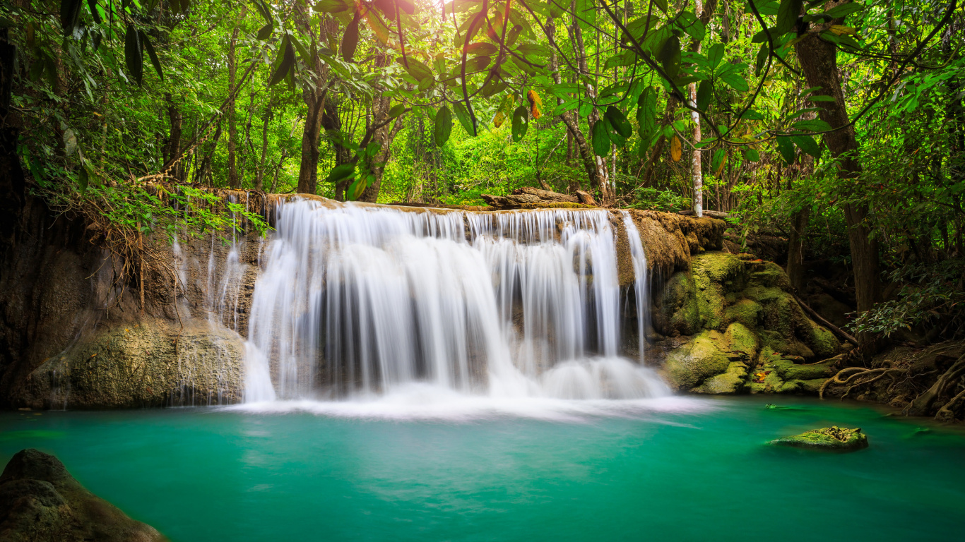 Cascades en Forêt Pendant la Journée. Wallpaper in 1366x768 Resolution