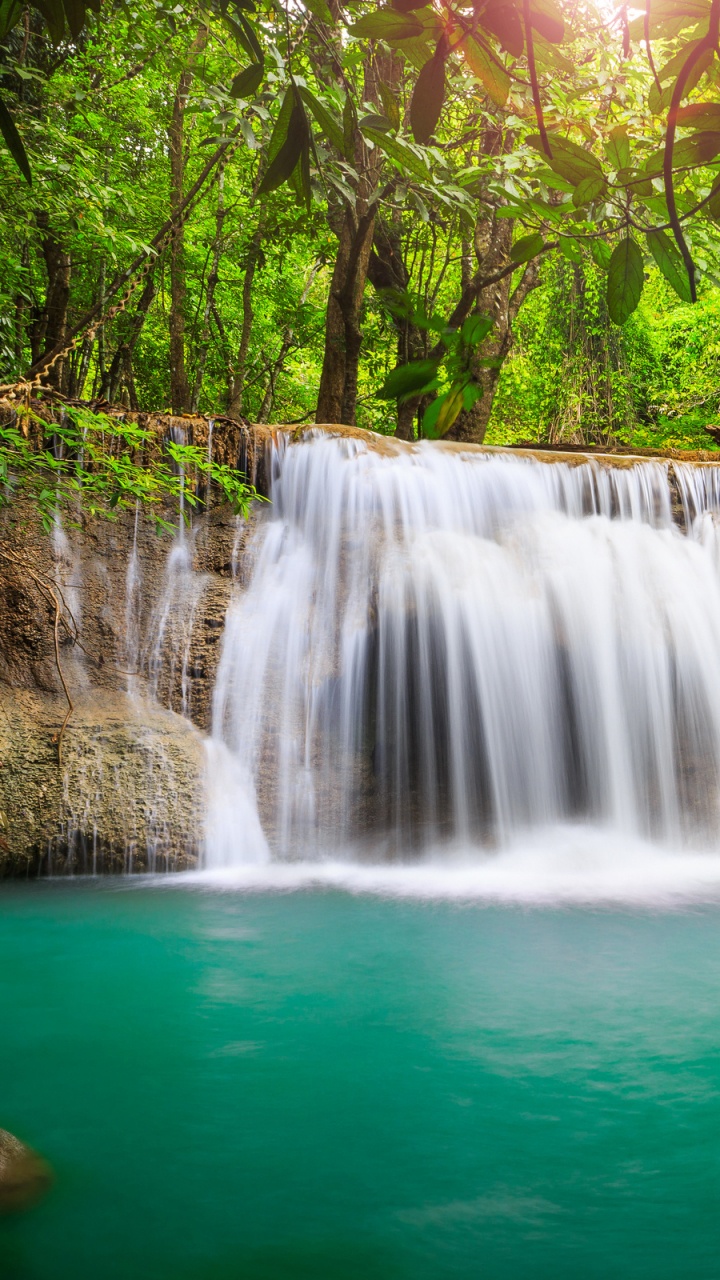 Waterfalls in Forest During Daytime. Wallpaper in 720x1280 Resolution