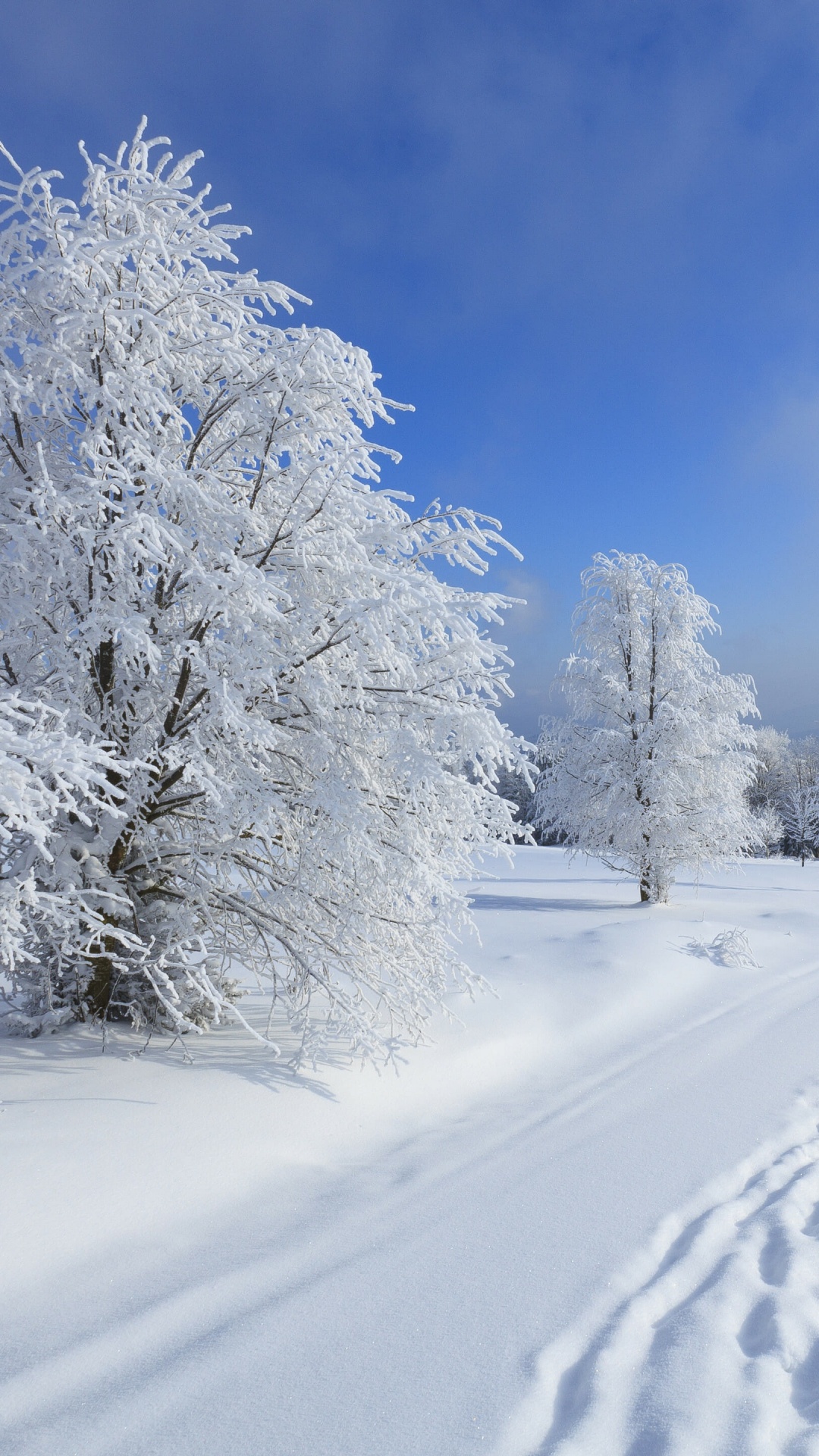 Arbres et Montagnes Couverts de Neige Pendant la Journée. Wallpaper in 1080x1920 Resolution