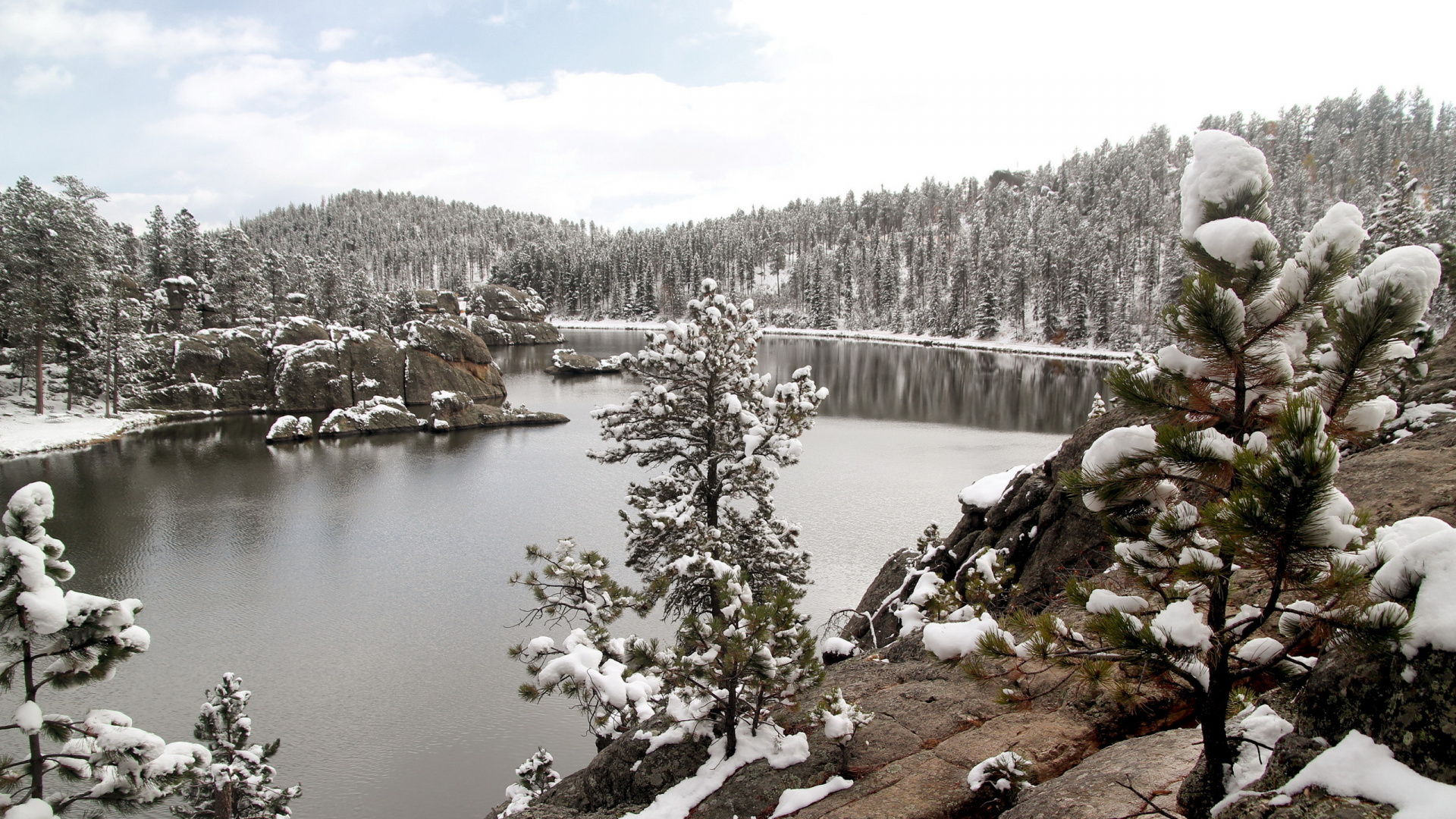 Snow Covered Trees Near Lake During Daytime. Wallpaper in 1920x1080 Resolution