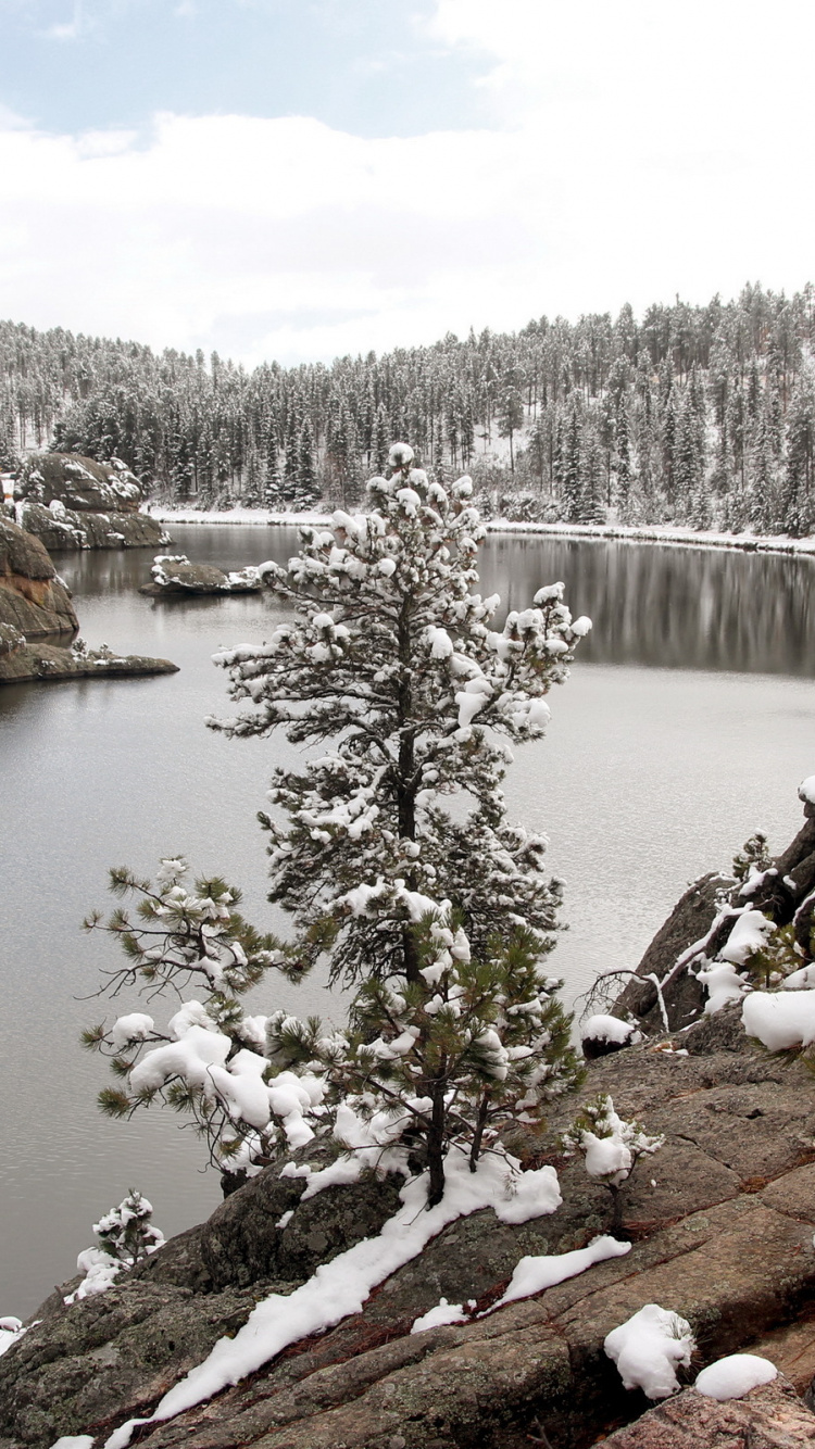Snow Covered Trees Near Lake During Daytime. Wallpaper in 750x1334 Resolution