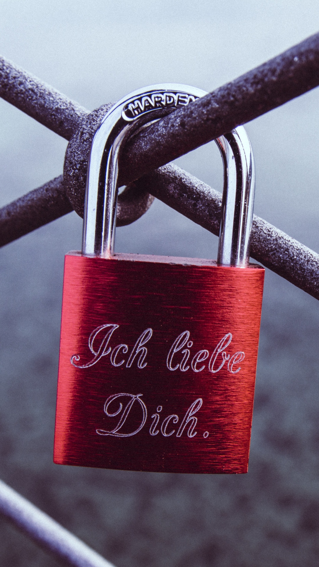Red and Silver Padlock on Gray Metal Fence. Wallpaper in 1080x1920 Resolution