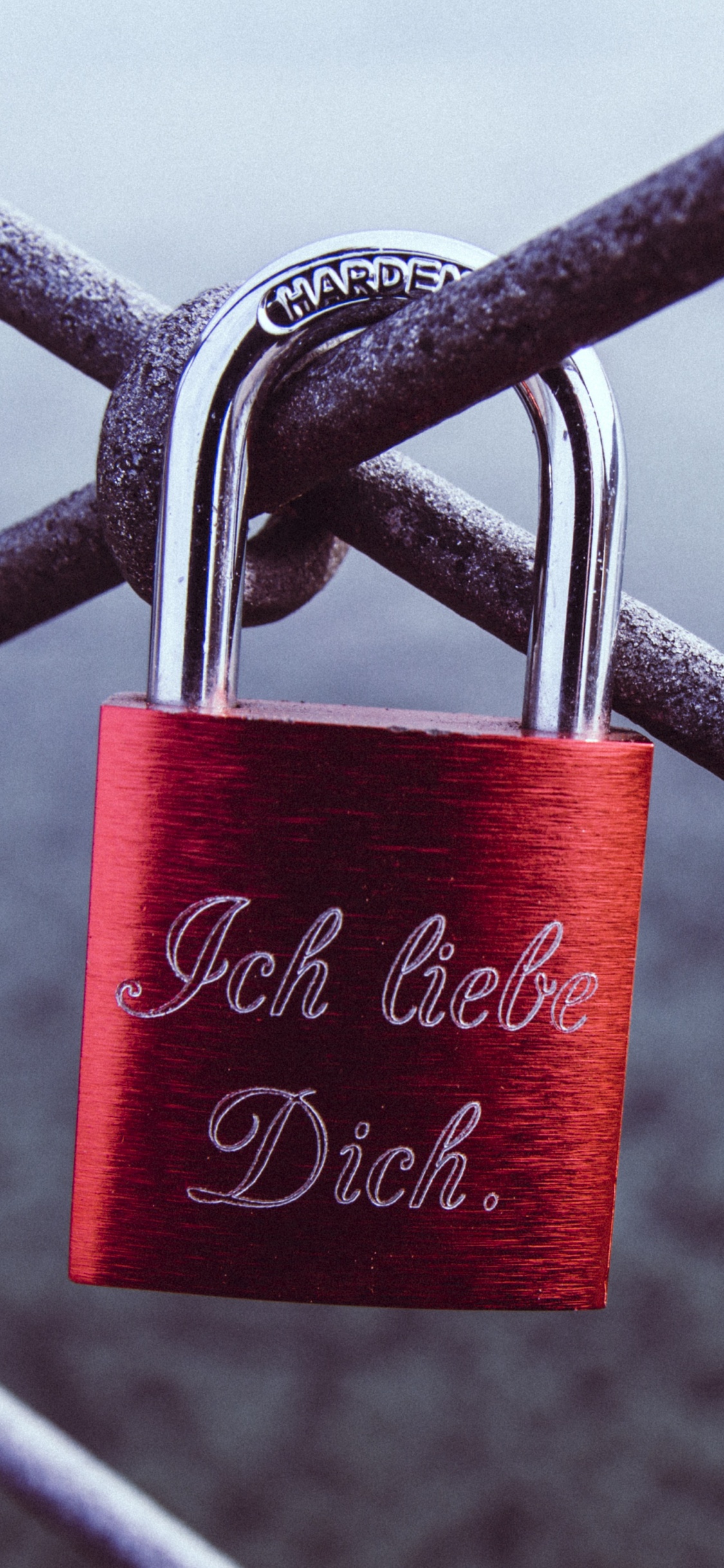 Red and Silver Padlock on Gray Metal Fence. Wallpaper in 1125x2436 Resolution