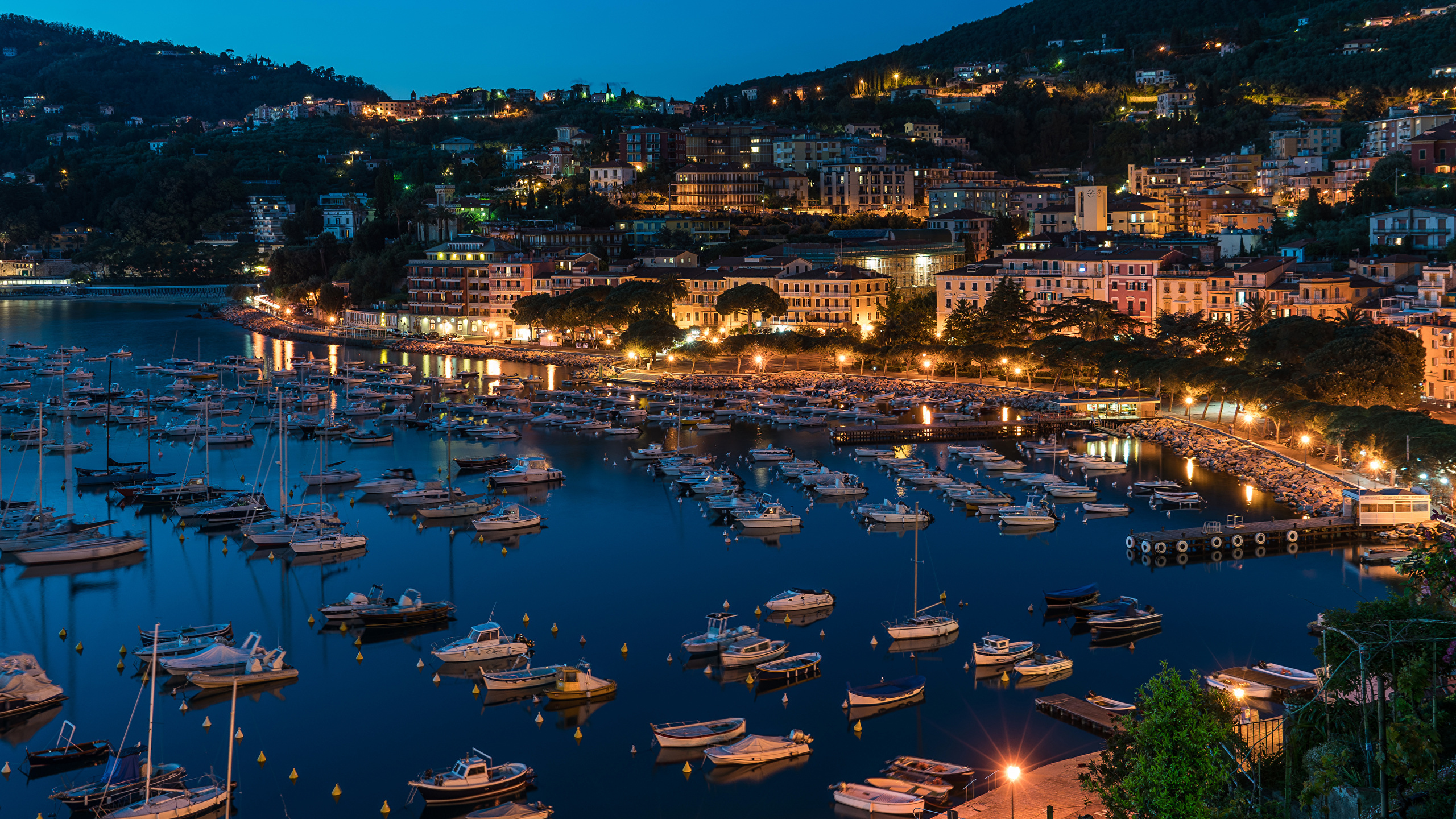 Vista Aérea de Los Barcos en el Muelle Durante la Noche.. Wallpaper in 2560x1440 Resolution