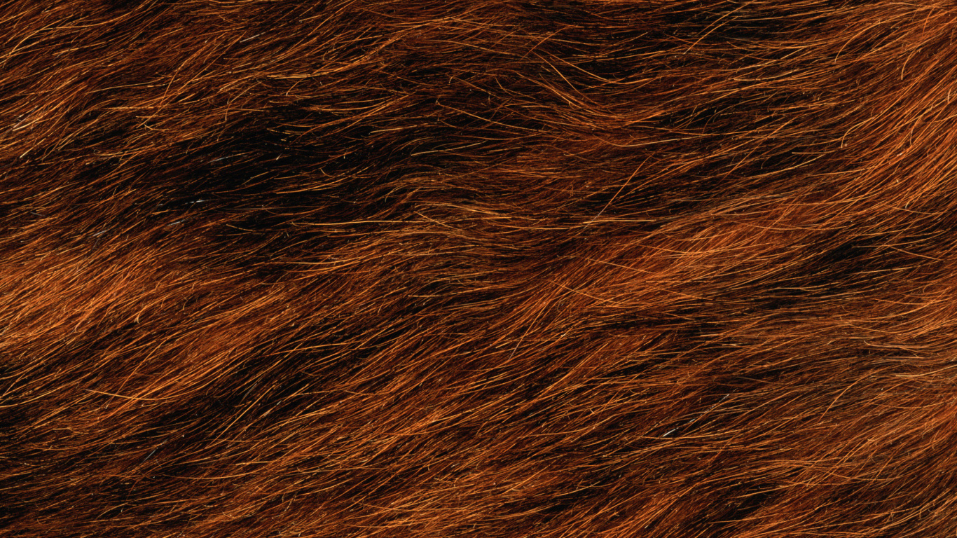 Textil de Piel Marrón y Negro. Wallpaper in 1366x768 Resolution