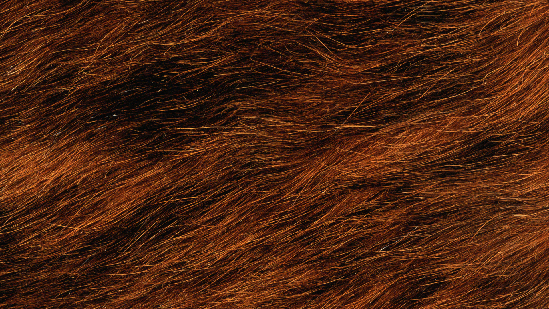 Textil de Piel Marrón y Negro. Wallpaper in 1920x1080 Resolution